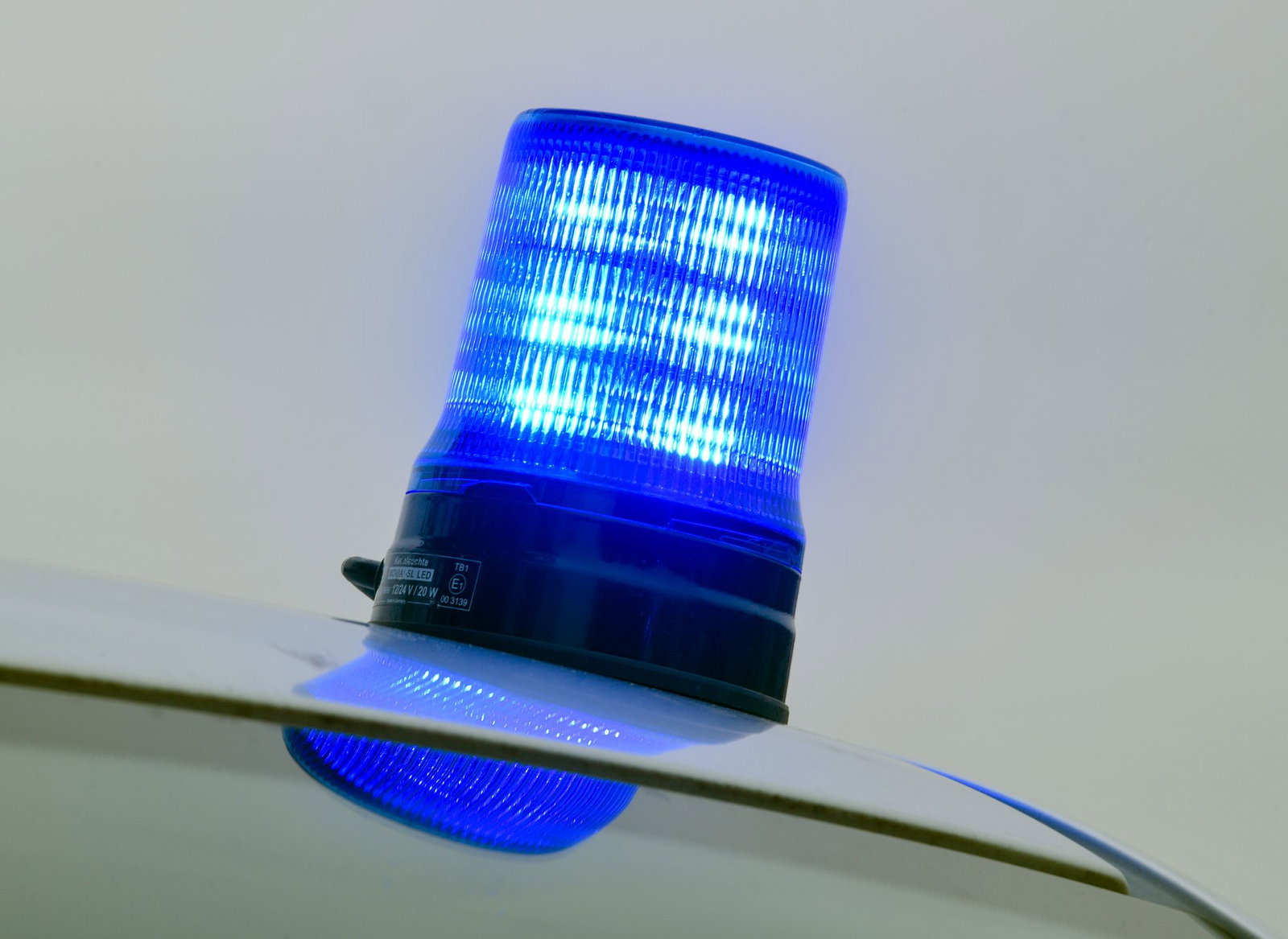Die Polizei kann das Tier nicht einfangen. (Symbolbild)