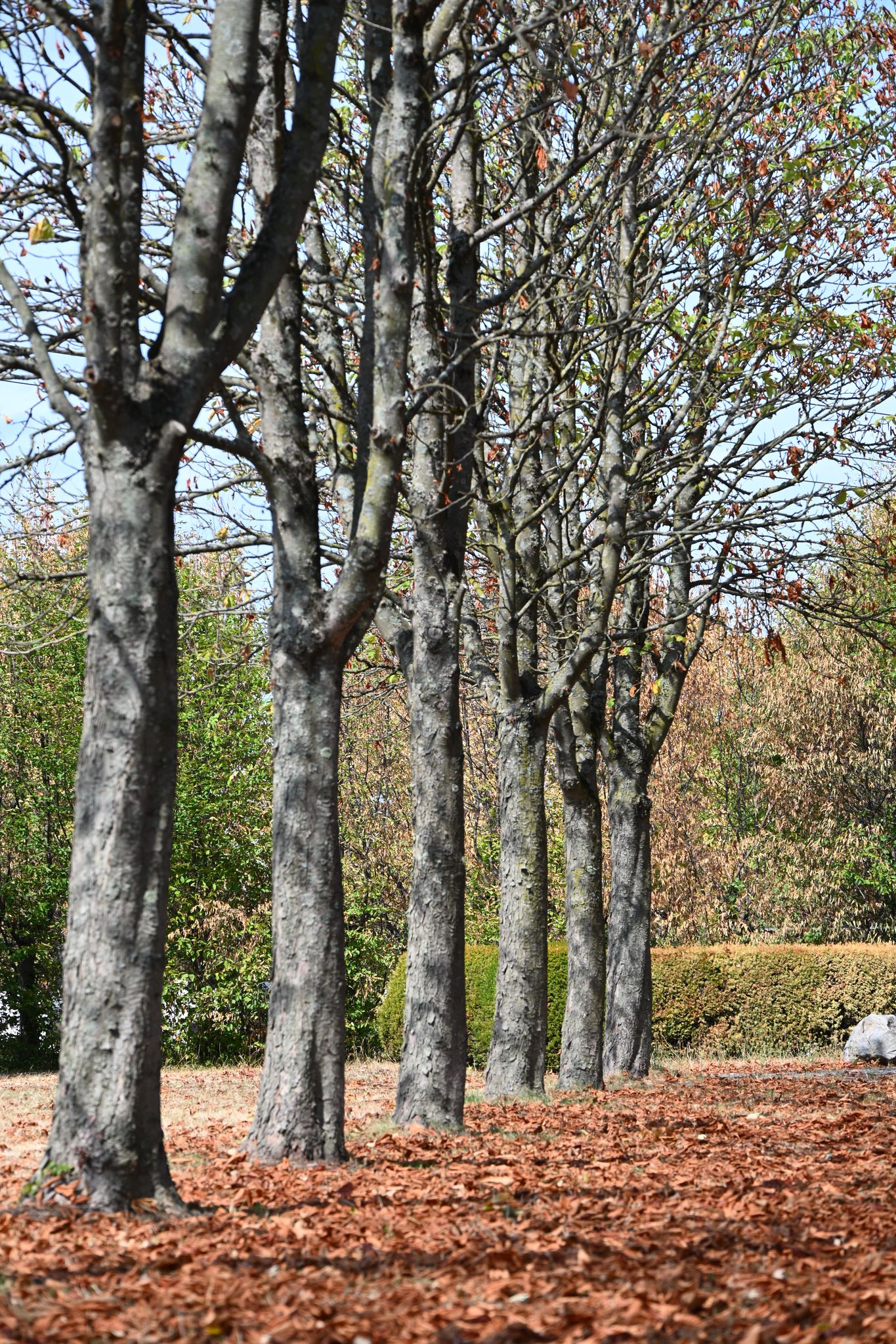 Mancherorts sieht es eher nach Herbst als nach Sommer aus.