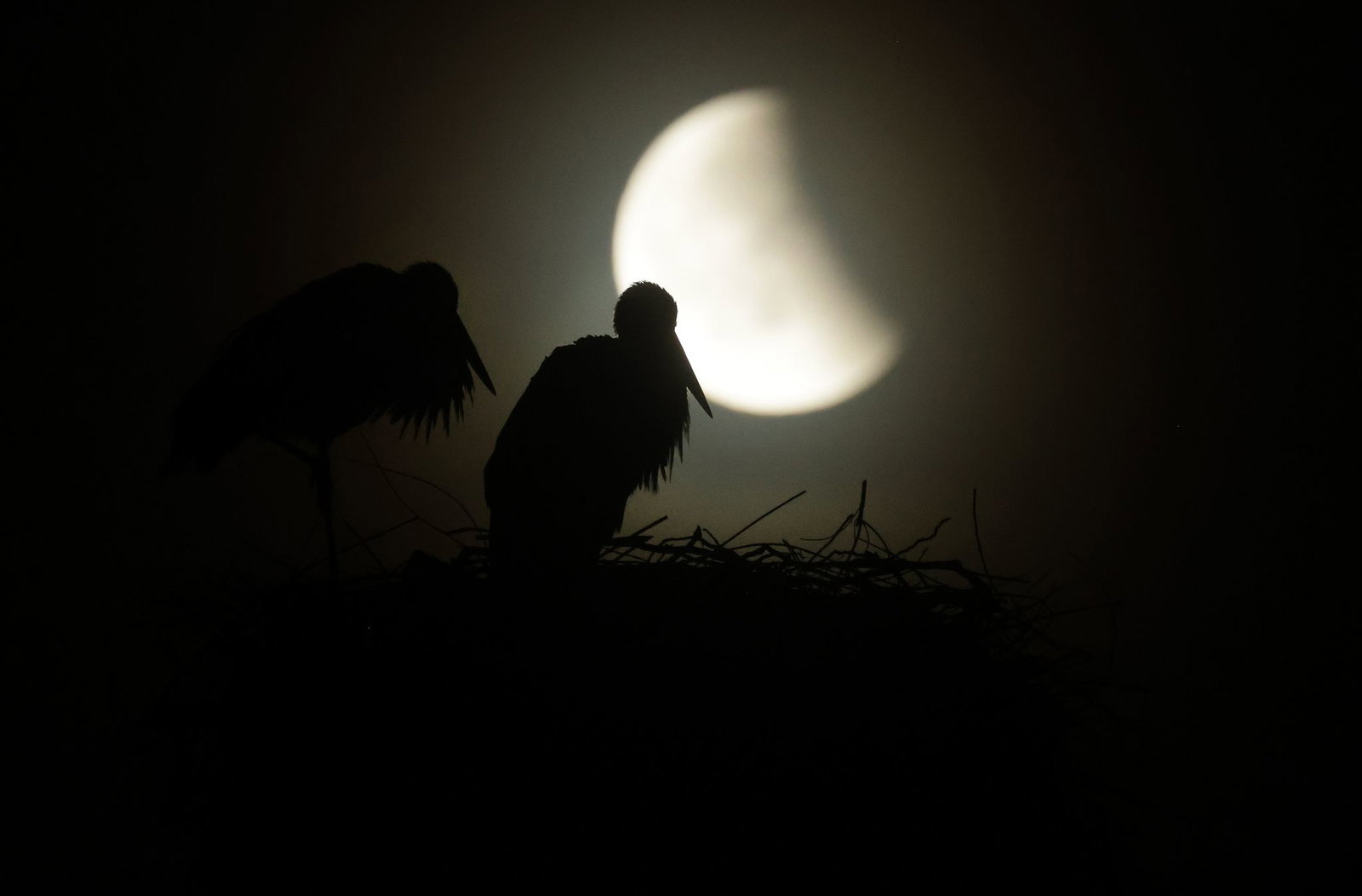 Wer die partielle Mondfinsternis sehen will, muss früh aufstehen. (Archivbild)