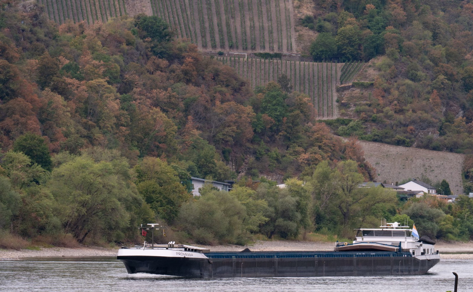 Dank Regens in Süddeutschland steigen die Rheinpegel wieder langsam, sind aber von Durchschnittswerten weit entfernt.
