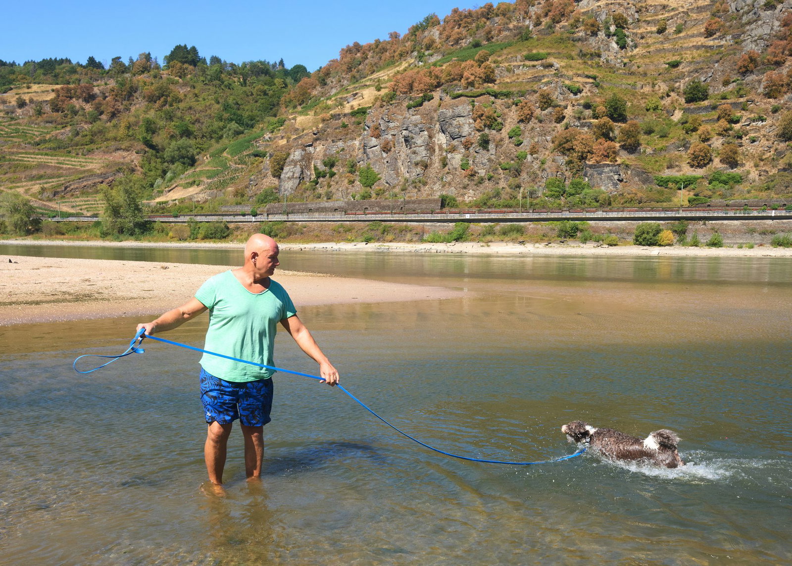 Ausflügler Thorsten Witte geht mit seinem Hund Bamboo an der Kiesbank Jungferngrund spazieren. Normalerweise überflutet sie der Rhein. (Archivbild)