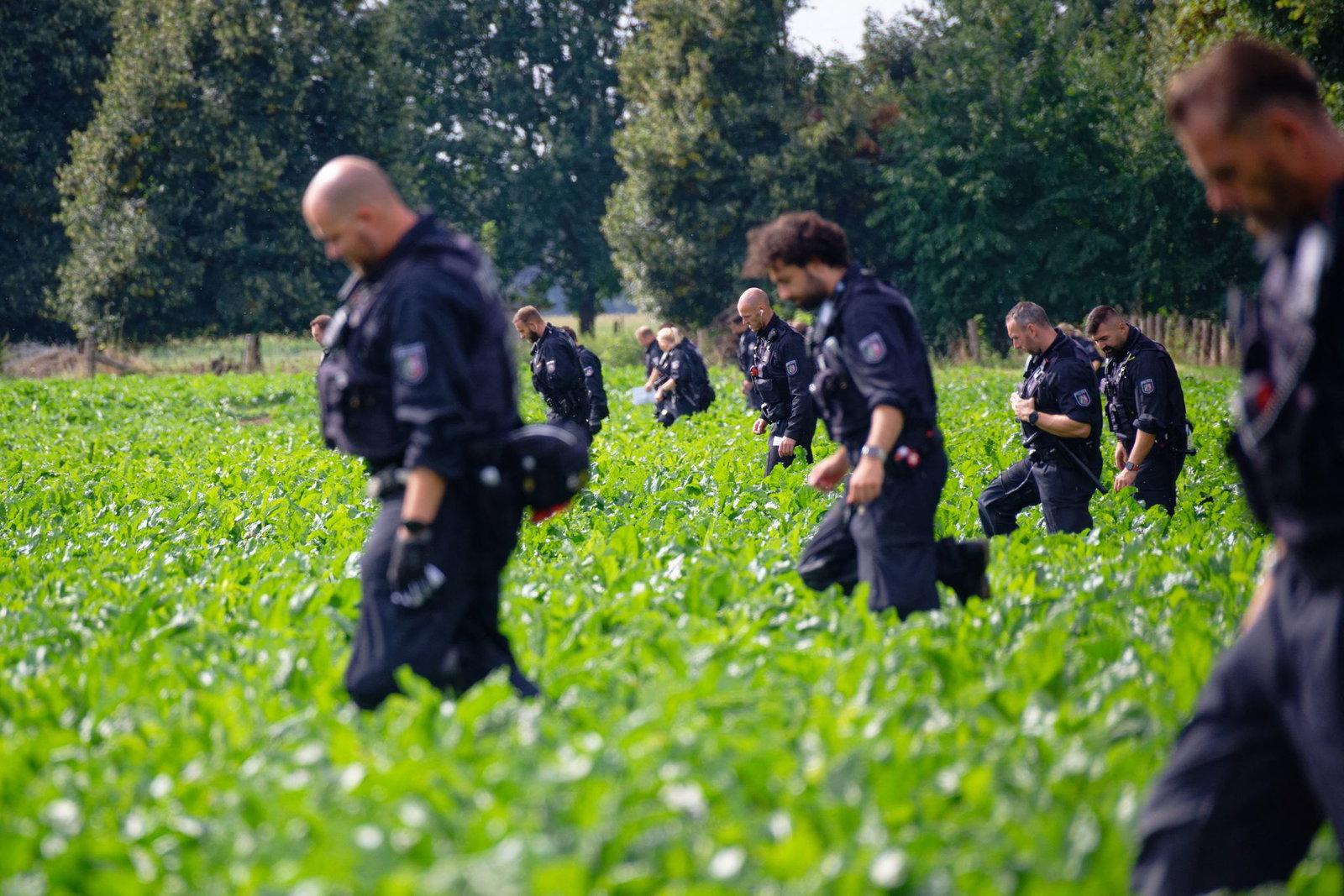 Sowohl in Brandenburg als auch in NRW wurden nach Angaben der Behörden Abschussvorrichtungen und Pyrotechnik gefunden.