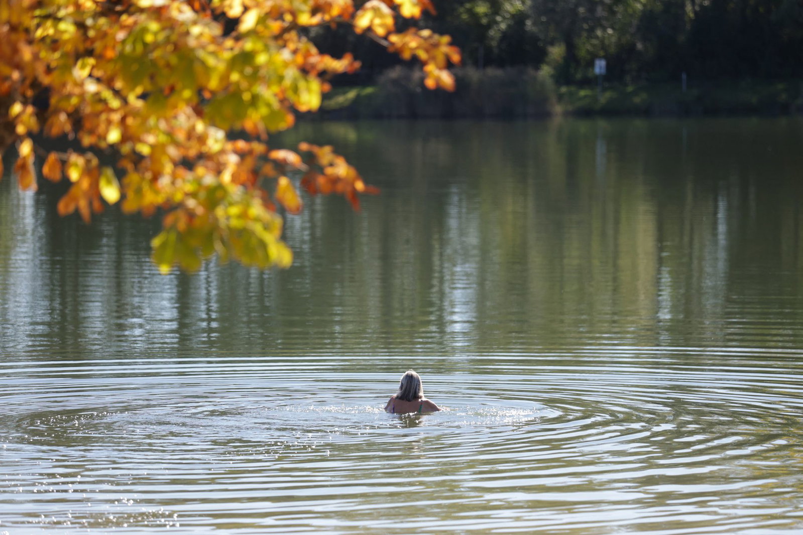 Sommergefühle im Herbst in Baden-Württemberg. 