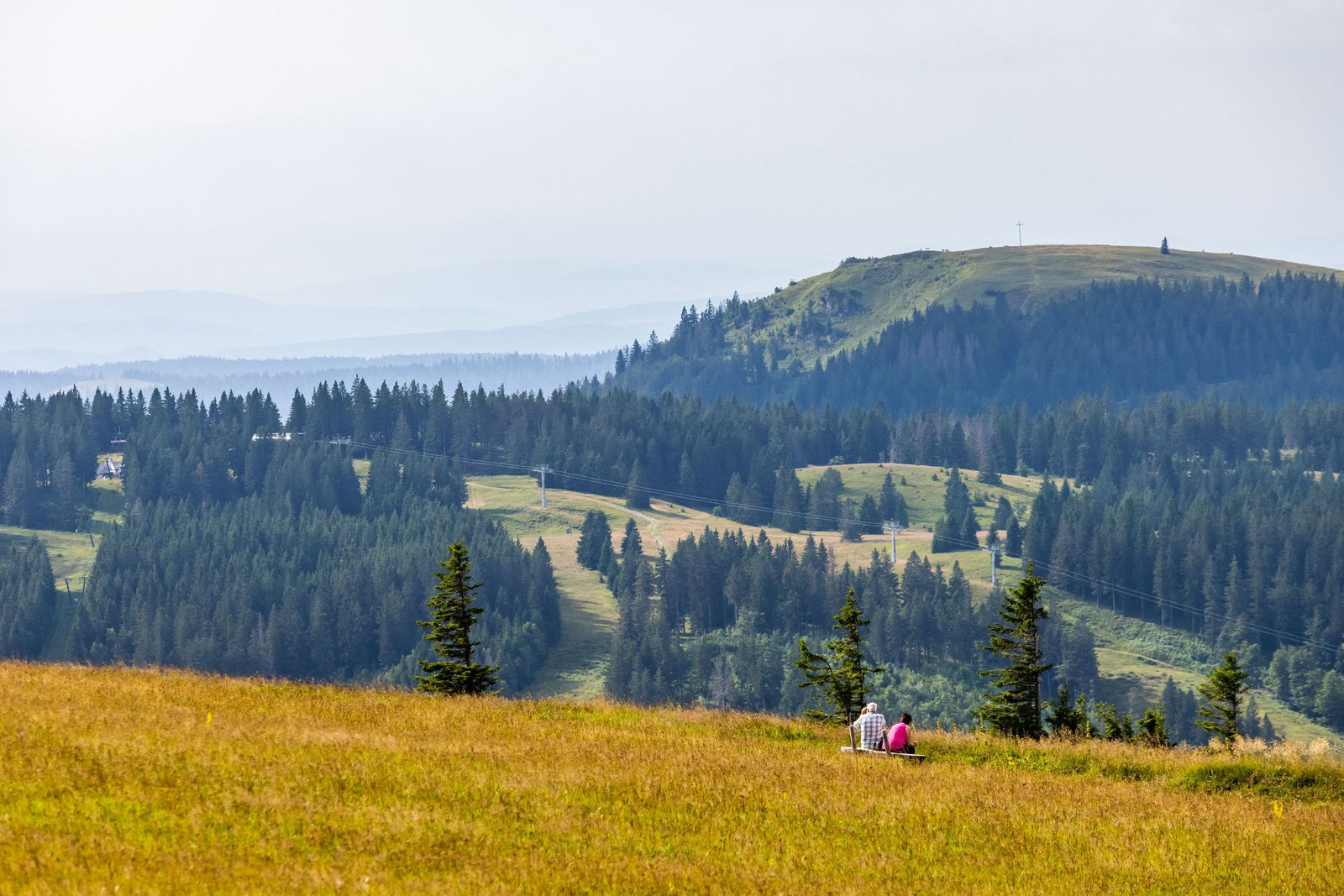 Im südlichen Schwarzwald, etwa auf dem Feldberg, lebt der seltene Badische Riesenregenwurm. (Archivbild)