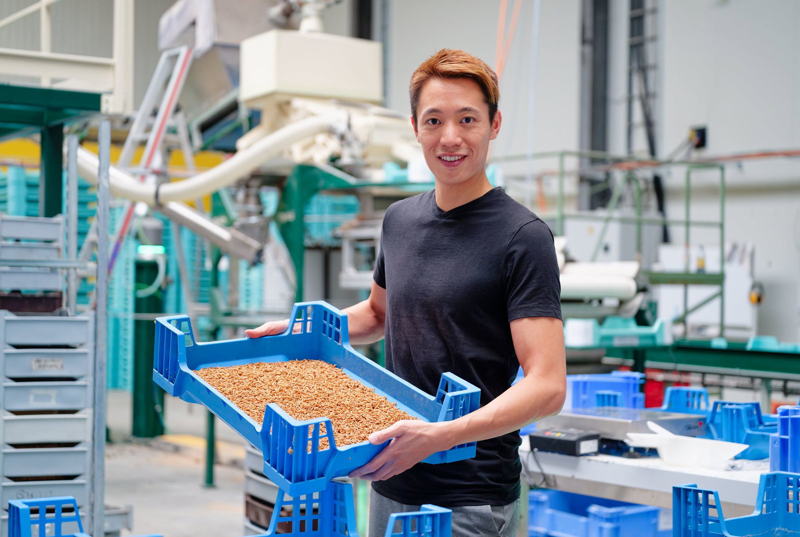 Mit der Idee, Insekten zur Lebensmittelproduktion zu züchten, hatte Gia Tien Ngo einst gegründet.