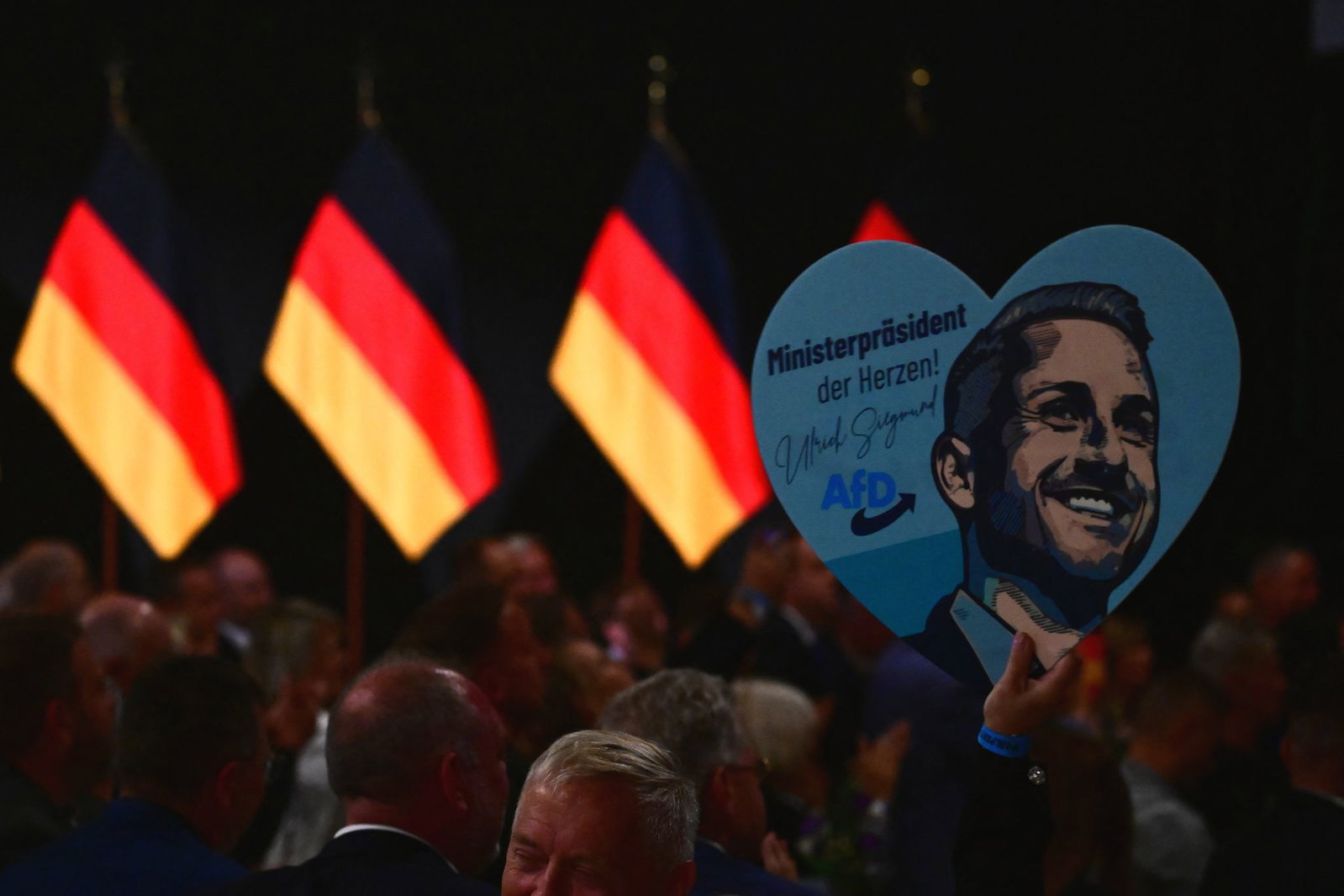 Im Wahlkampf warb die AfD in Sachsen-Anhalt auch mit einer «patriotischen Kulturpolitik». Der Deutsche Musikrat warnt vor Einschnitten bei der Kunstfreiheit.