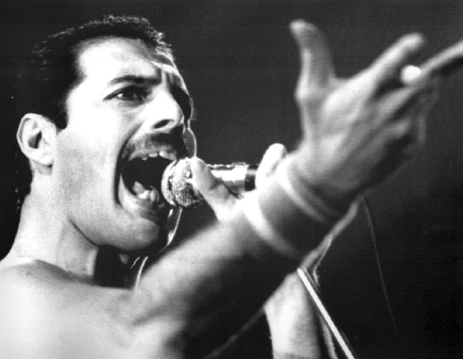 Freddie Mercury gilt als einer der legendärsten Live-Performer der Musikgeschichte. (Archivbild)