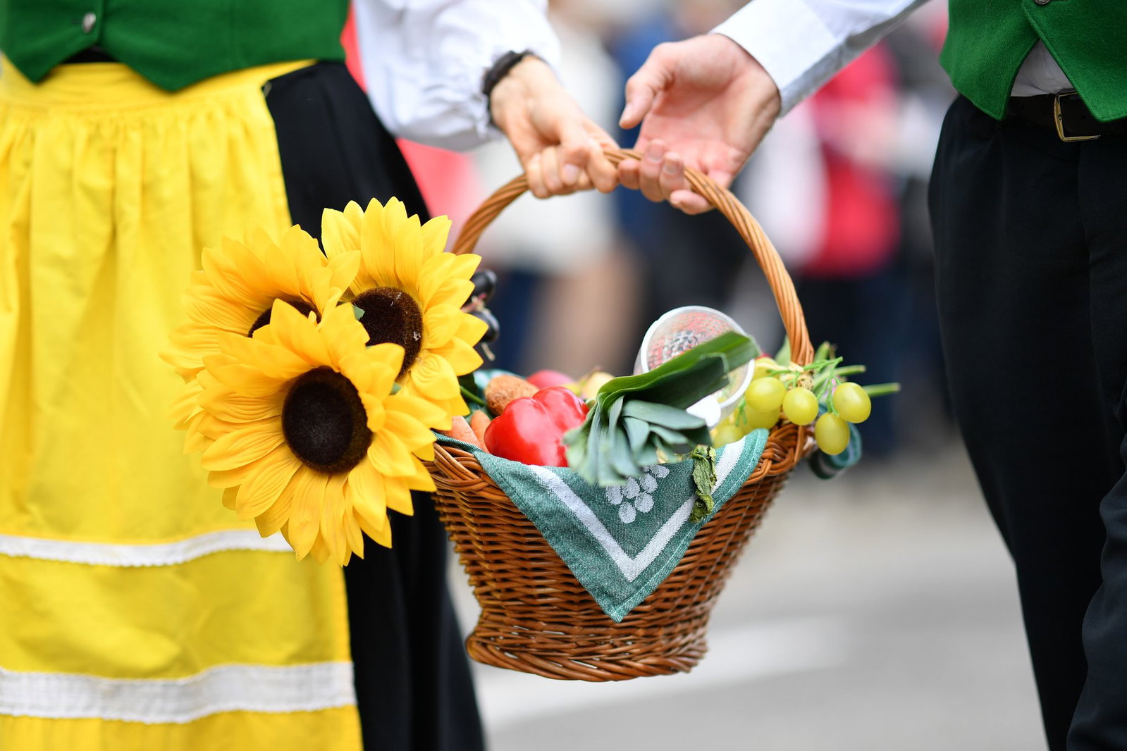 Die Sonnenblume ist das Symbol des Deutschen Weinlesefests in Neustadt an der Weinstraße. (Archivbild)