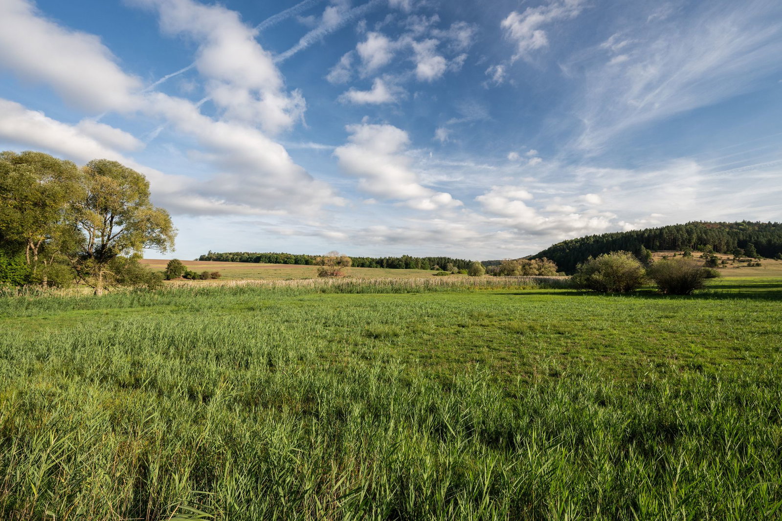 Sonne und blauer Himmel - der Herbst bleibt auf Abstand. 