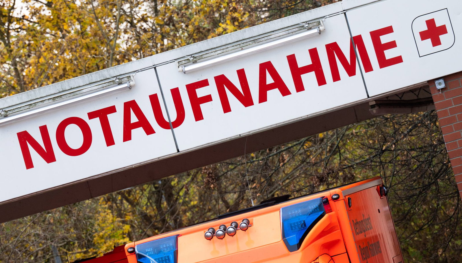 In Rheinland-Pfalz sind in diesem Sommer besonders viele Menschen an den Folgen von Hitze gestorben. (Symbolbild)