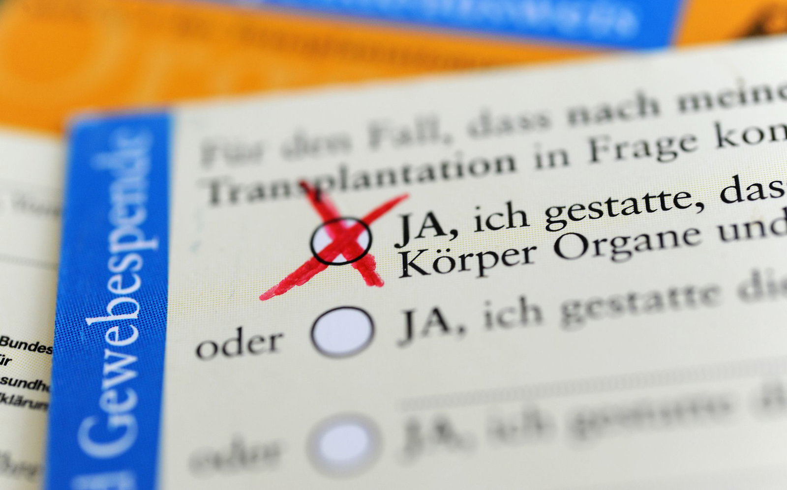 Bislang muss in Deutschland einer Organspende explizit zugestimmt werden. Nun läuft wieder eine Debatte, wie mehr Organspenden erreicht werden können - auch in Rheinland-Pfalz. (Archivfoto)