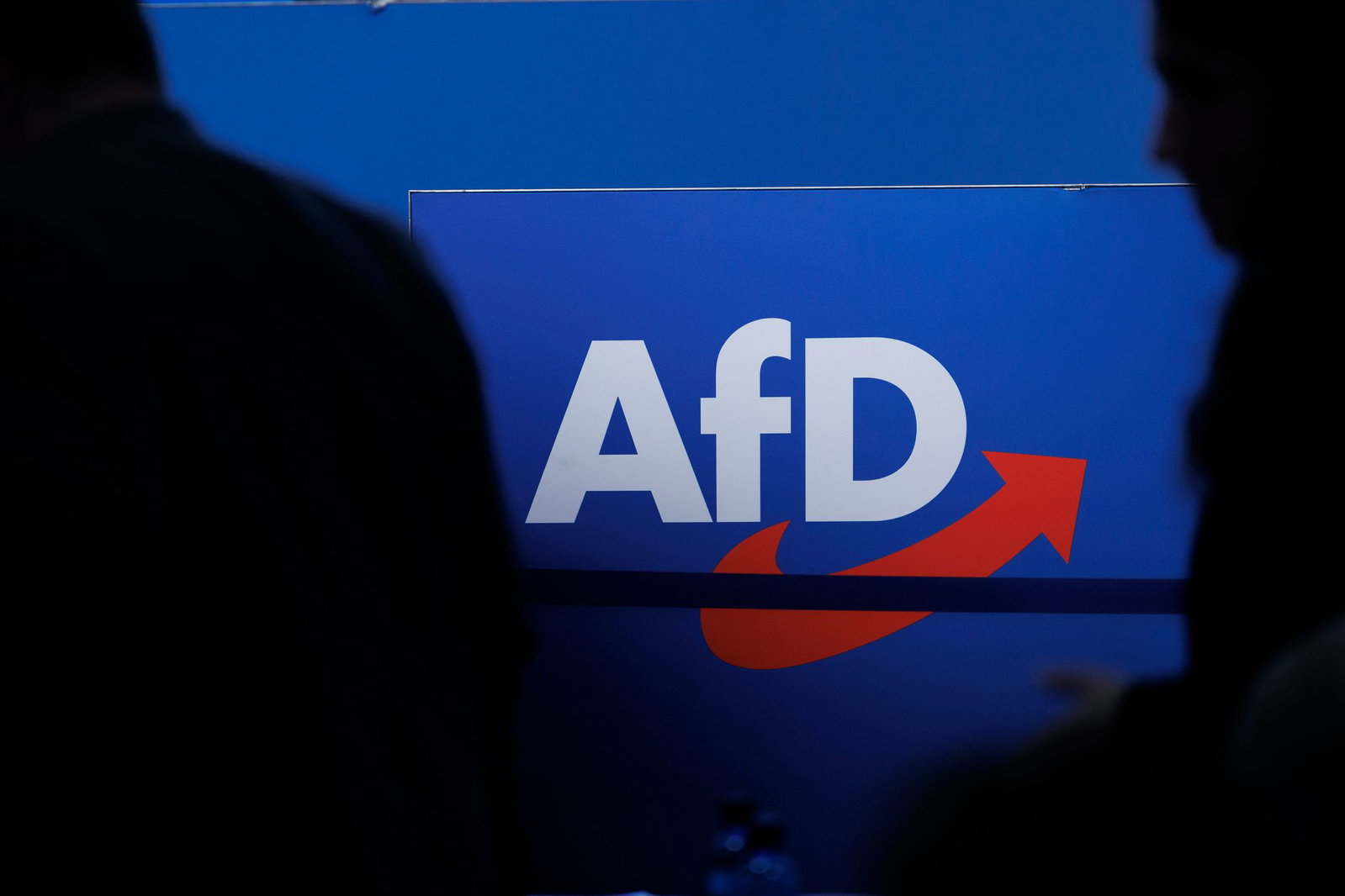 Die AfD ist die größte Oppositionsfraktion im rheinland-pfälzischen Landtag. (Symbolbild)