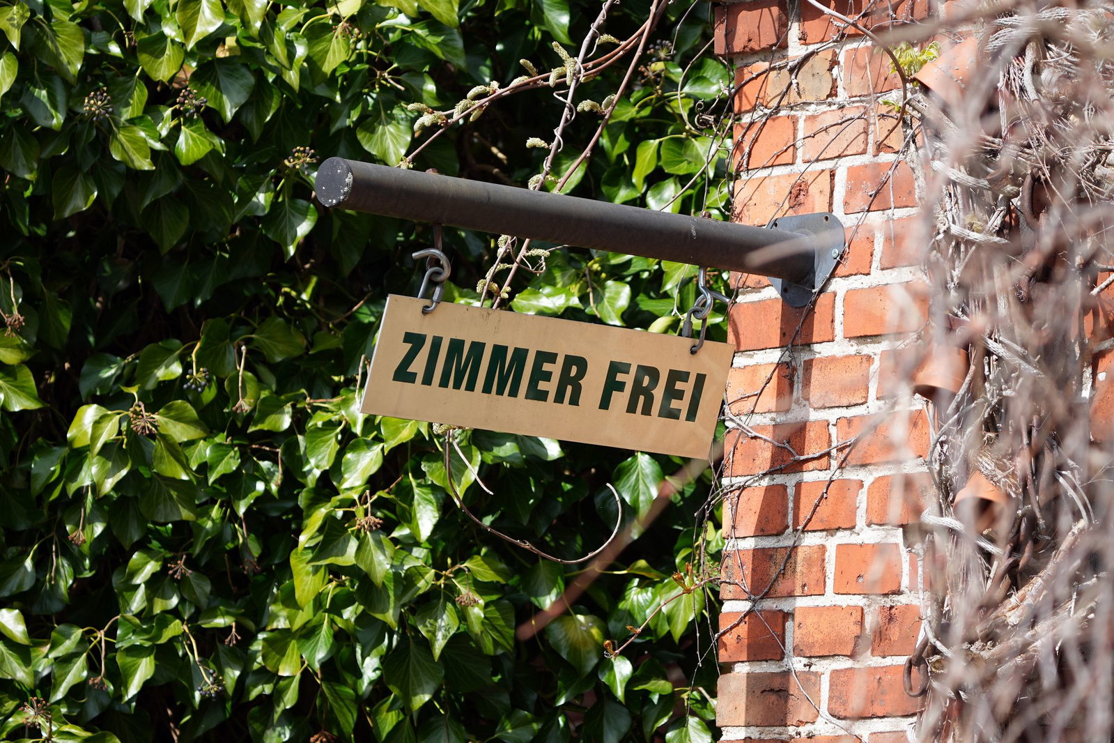 Für Wirtschafts- und Tourismusminister Ebling bietet vor allem die Bundesgartenschau 2029 im Mittelrheintal zahlreiche Chancen für neue Gästegruppen. (Archivfoto)