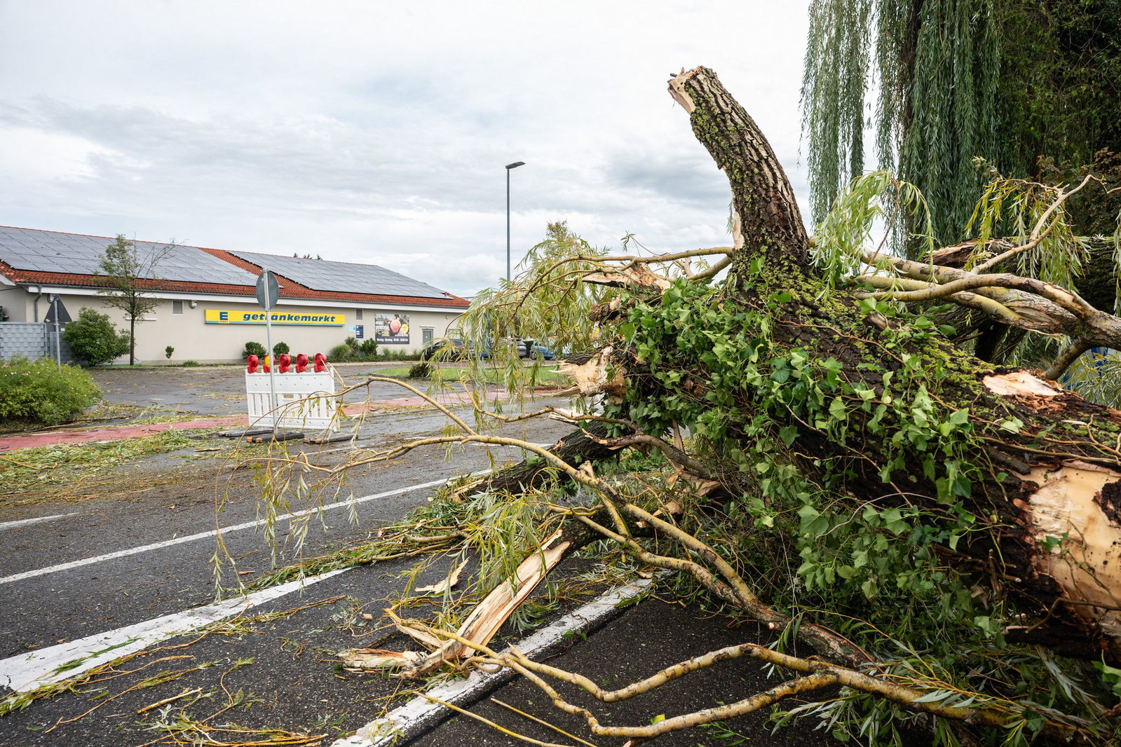 Umgestürzte Bäume in der Gemeinde Moos. Bei dem Unwetter soll auch ein Kind ums Leben gekommen sein. (Archivbild)