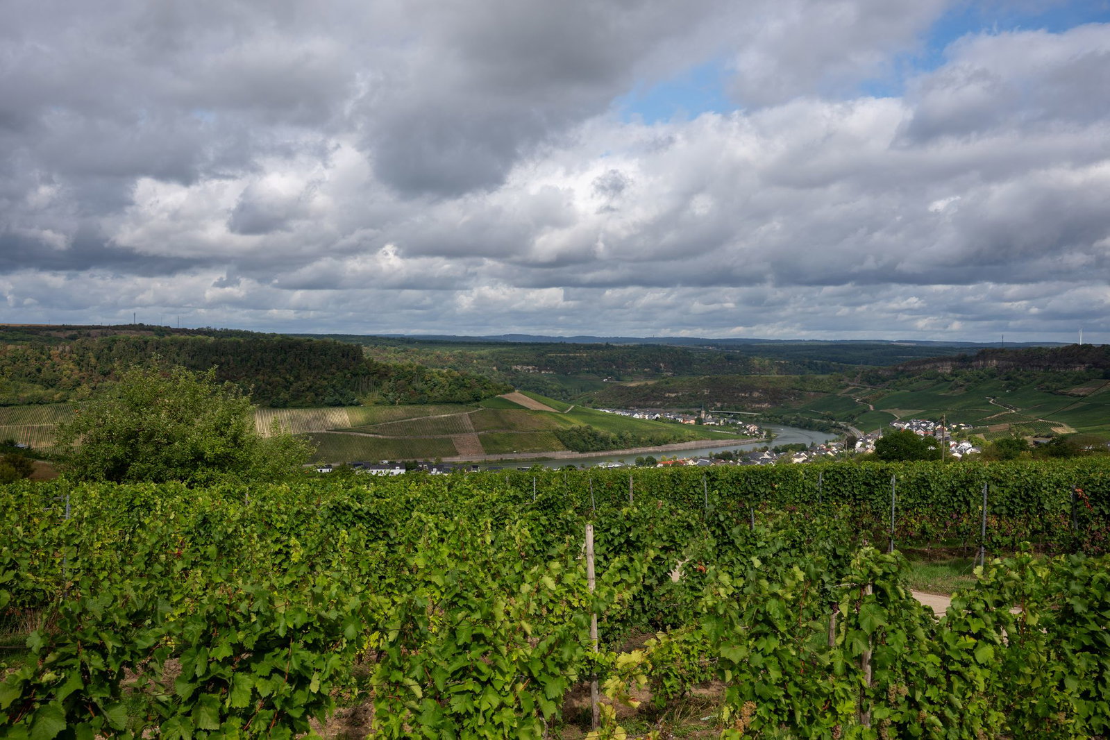 Auch, wenn es immer Wolken gibt, wird vor allem der Dienstag sommerlich warm. (Archivbild)