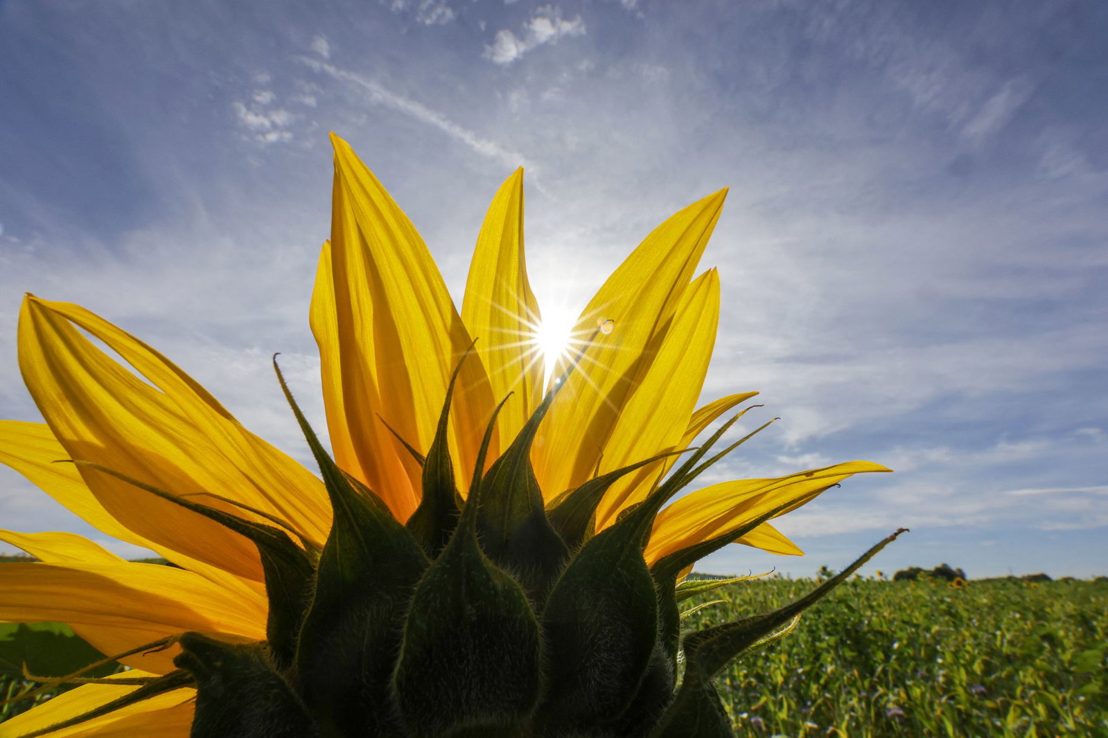 Allerbestes Wetter ist bis Ende September gemeldet. (Archivfoto) 