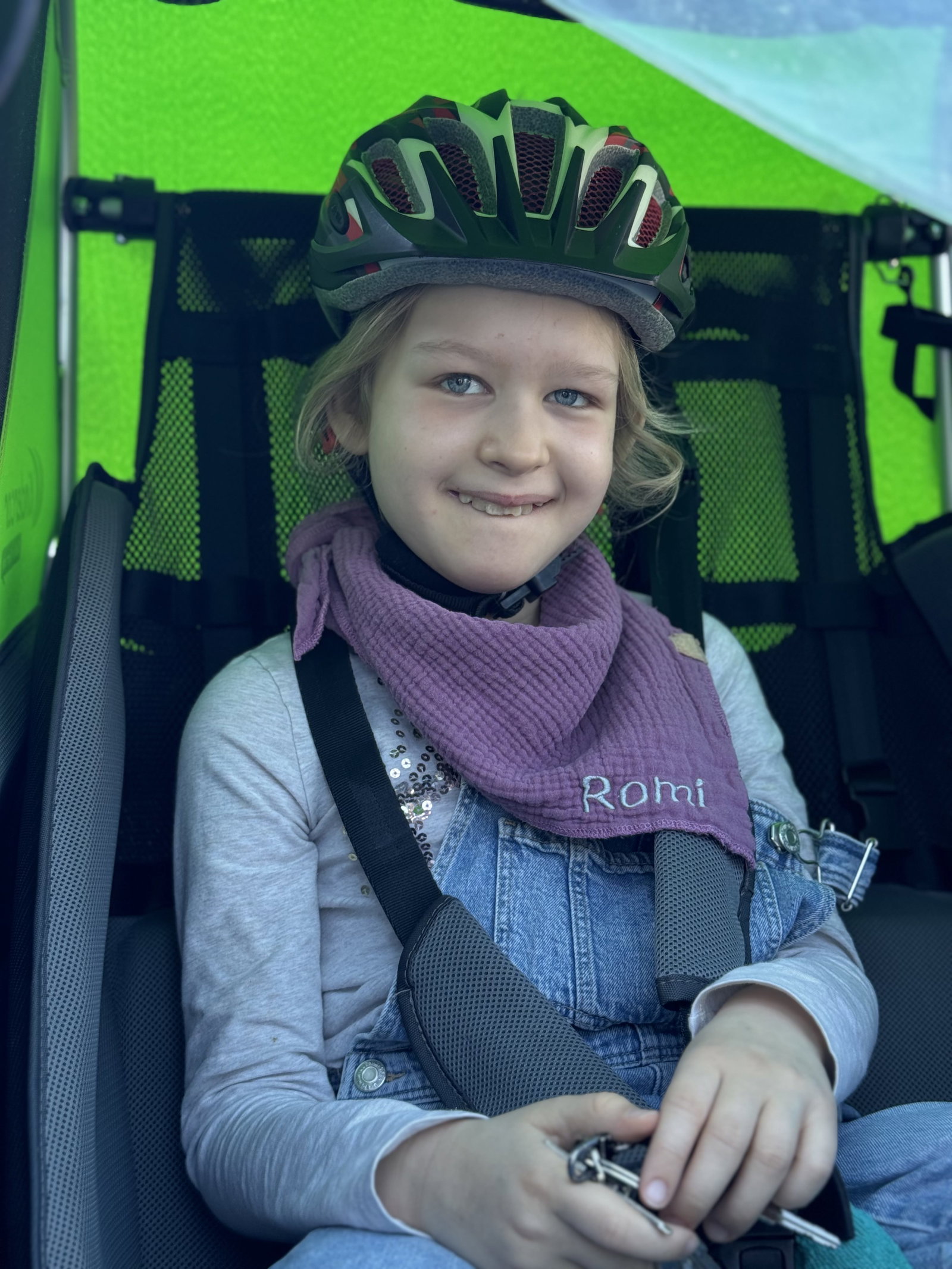 KuR Romi in Fahrradanhänger
