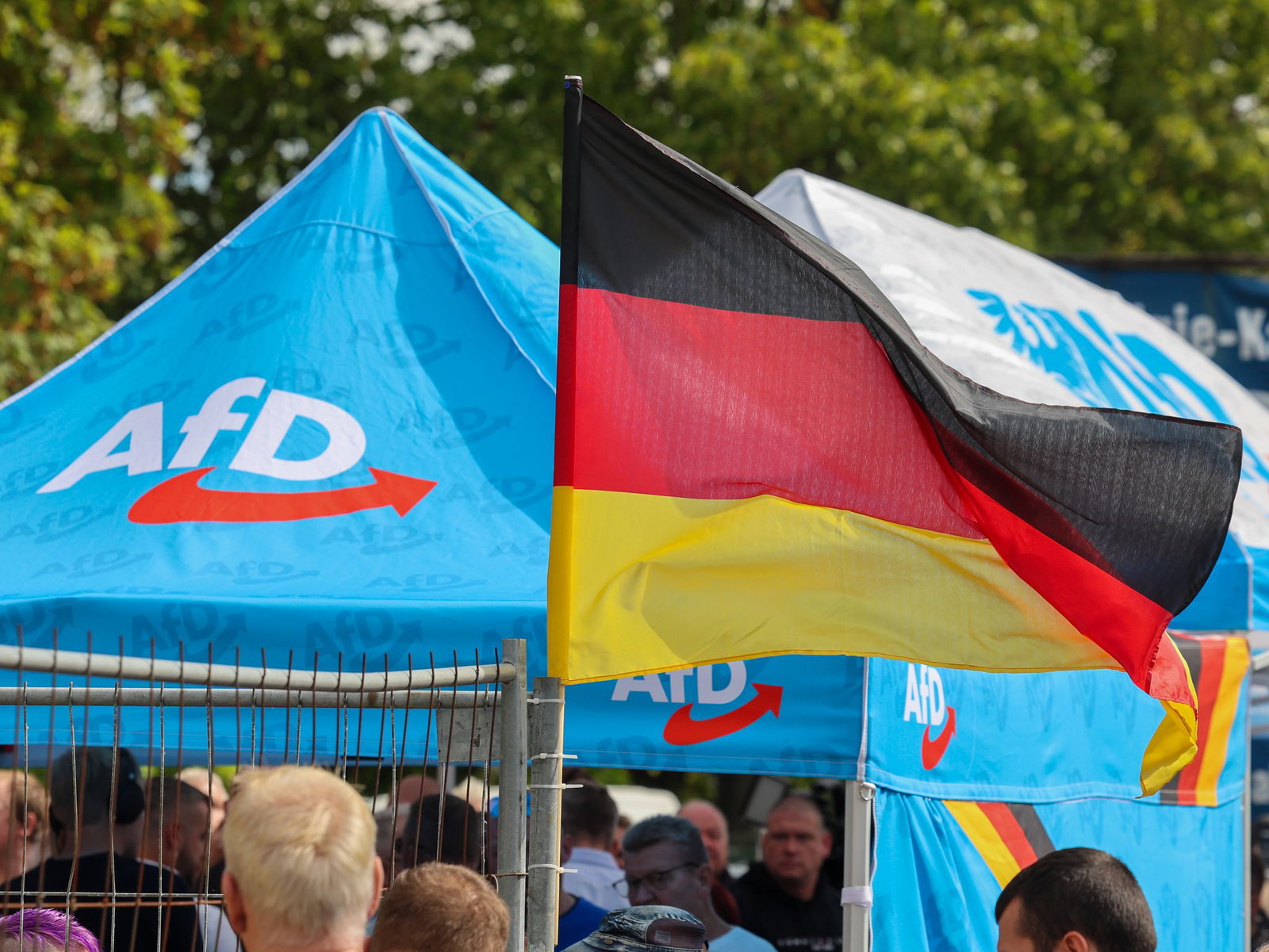 In Umfragen klar vorn: die AfD in Sachsen-Anhalt. 