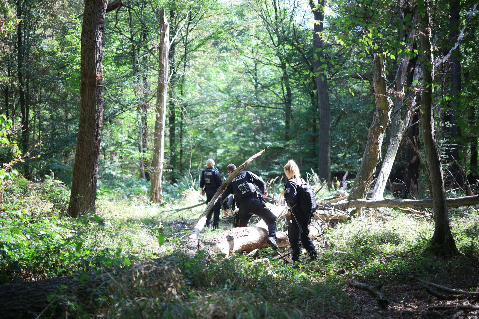 Die Polizei sucht mitten im Wald nach dem Verdächtigen.