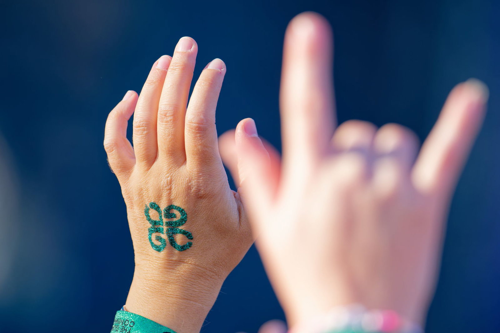 Good vibes only? Der Streit um das Glücksgefühle-Festival treibt Künstler um.