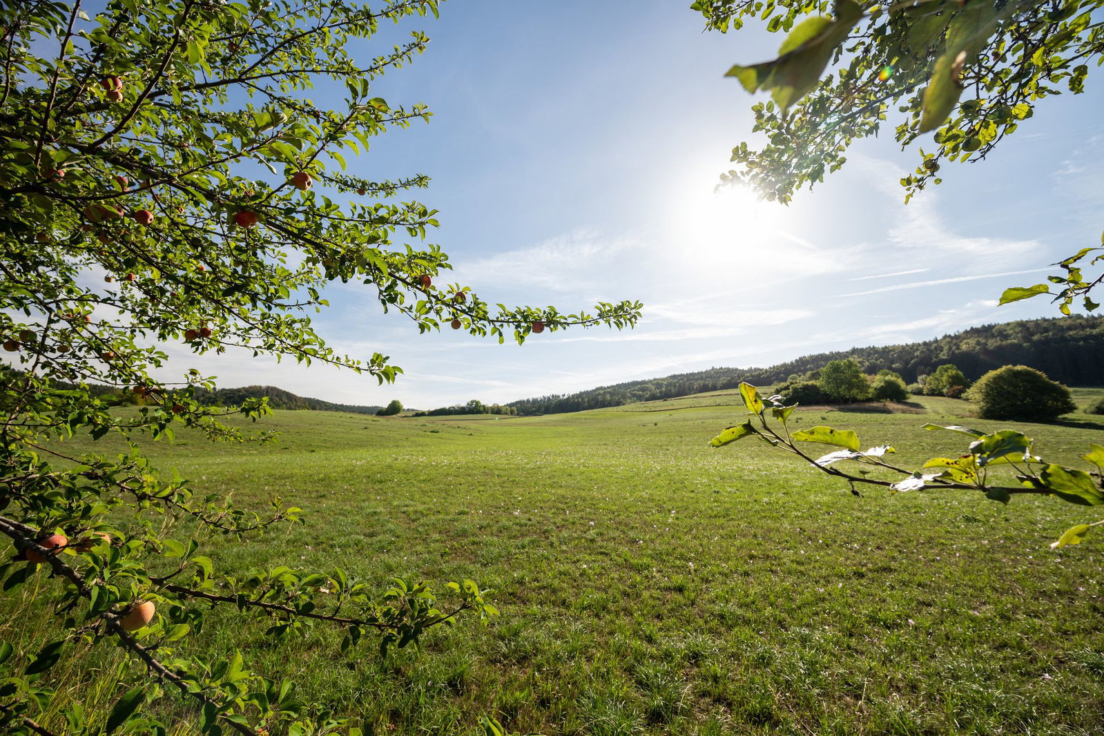 Am Montag könnte es bis zu 33 Grad heiß werden.(Archiv)