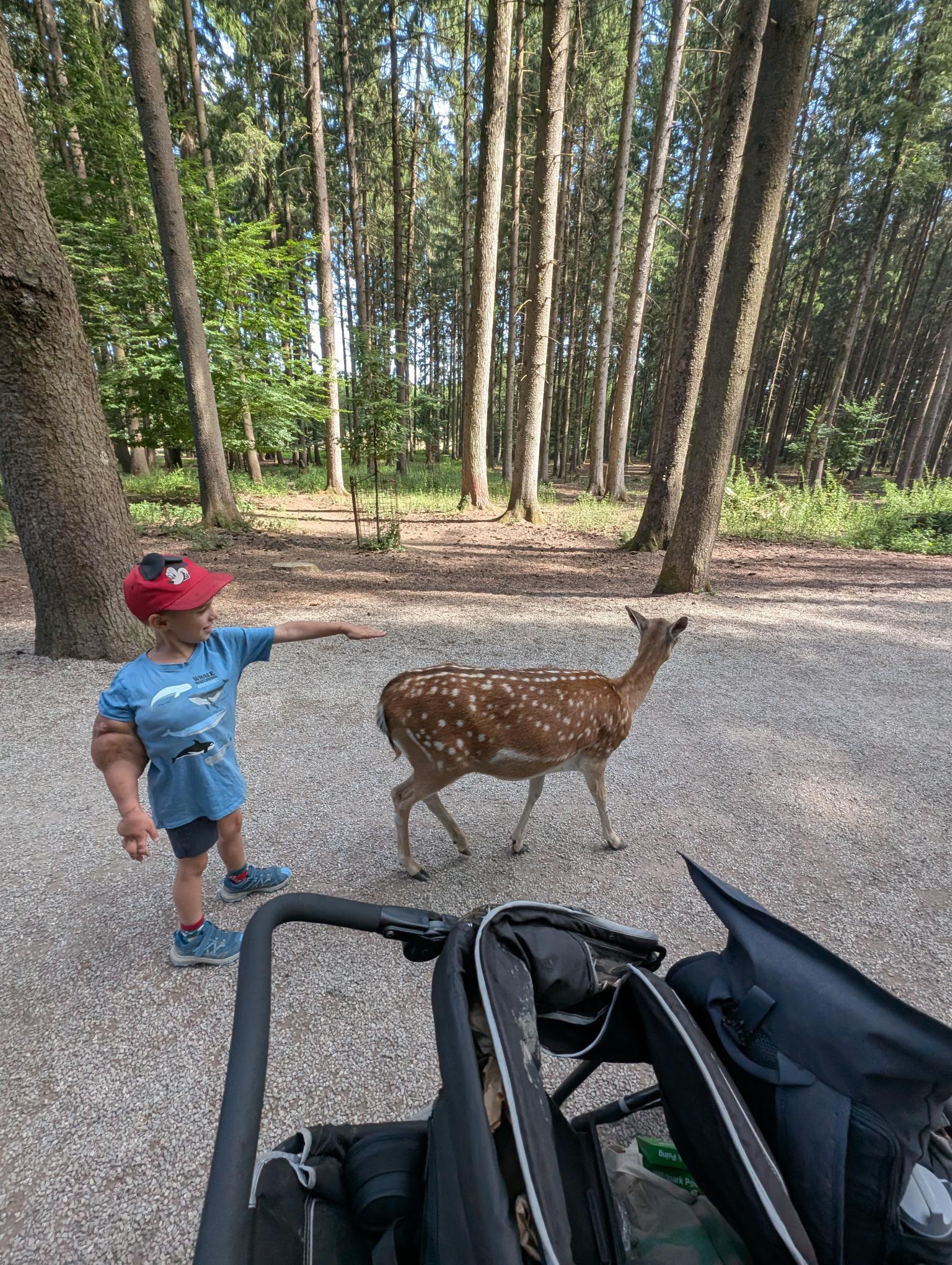 KuR Bruno aus Neuried