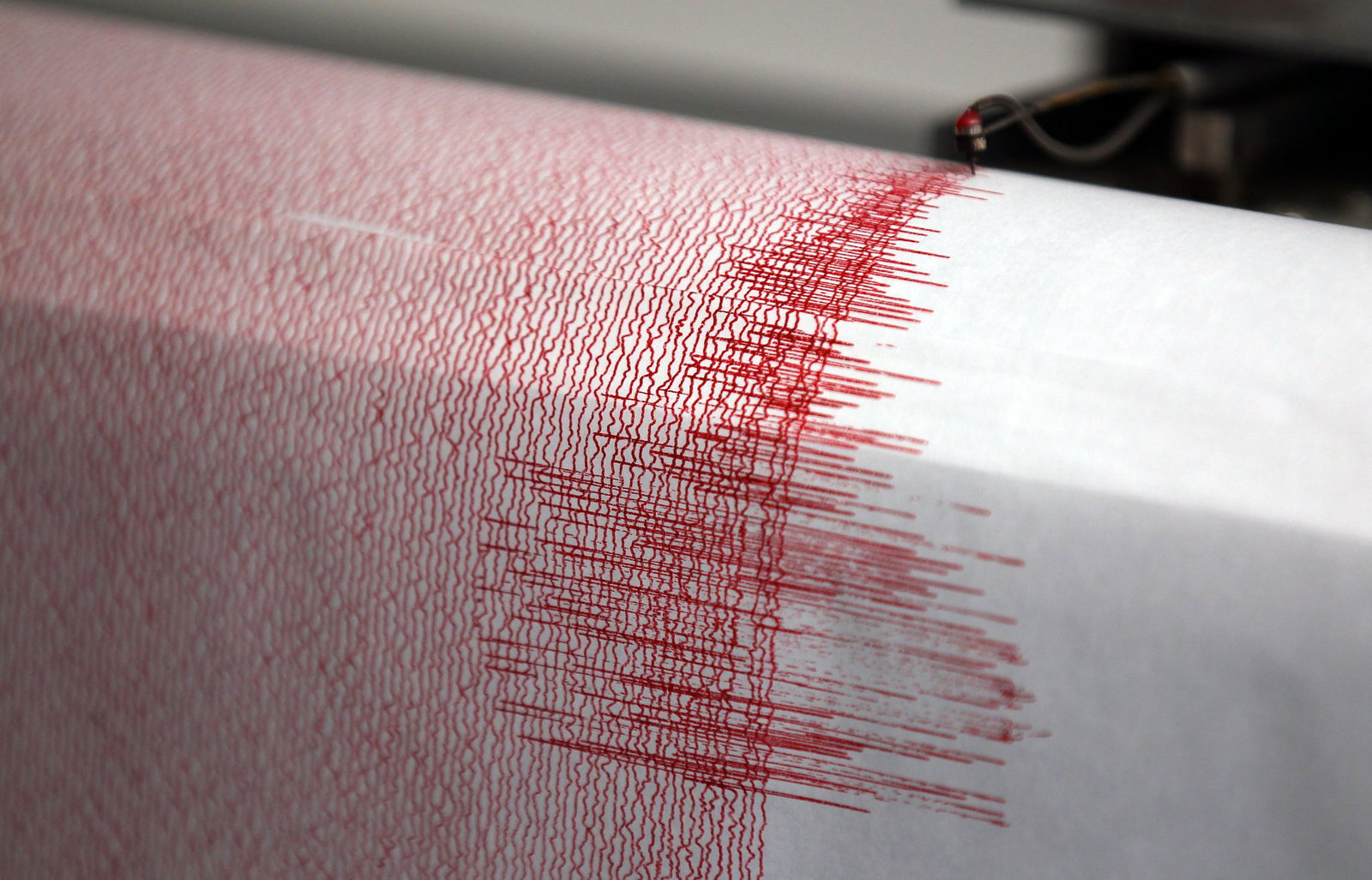 Seismographen zeichnen Erdbeben auf. (Symbolbild)
