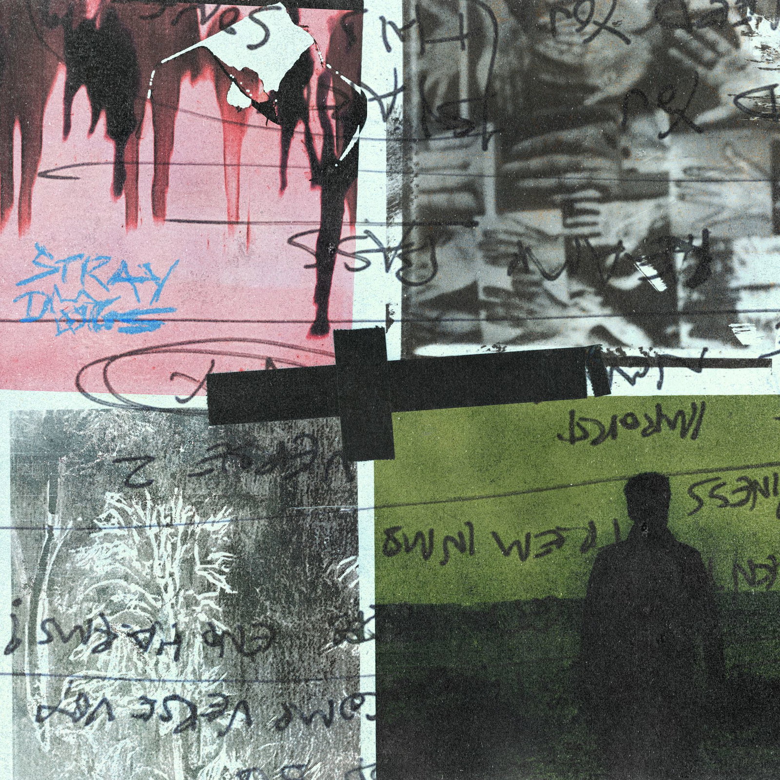 Das fünfte Album der Band, «Stray Dogs».