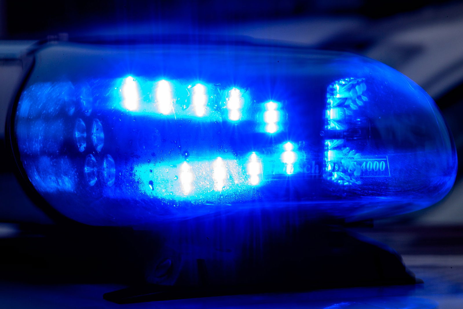 Die Polizei musste wegen tierischer Aktivitäten ausrücken. (Symbolbild)