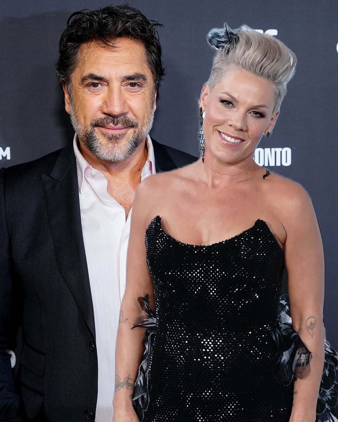 Javier Bardem x P!nk