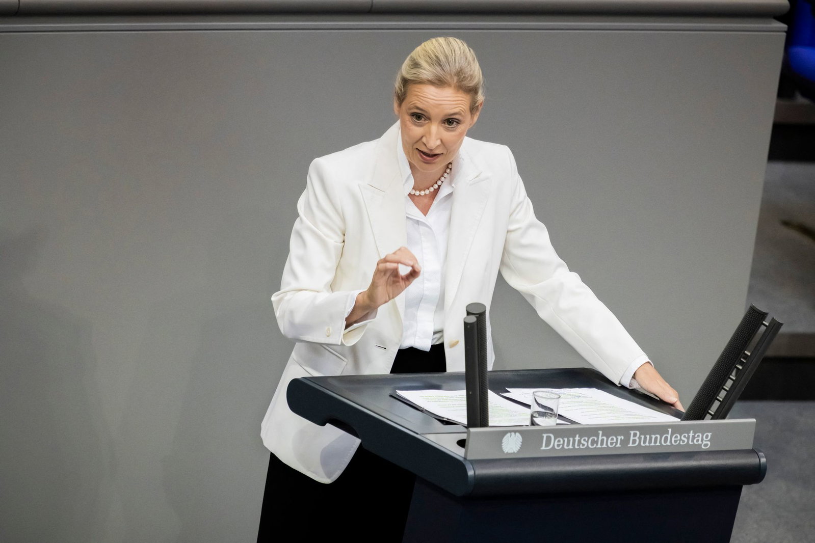 Weidel sieht Schwarz-Rot am Ende.
