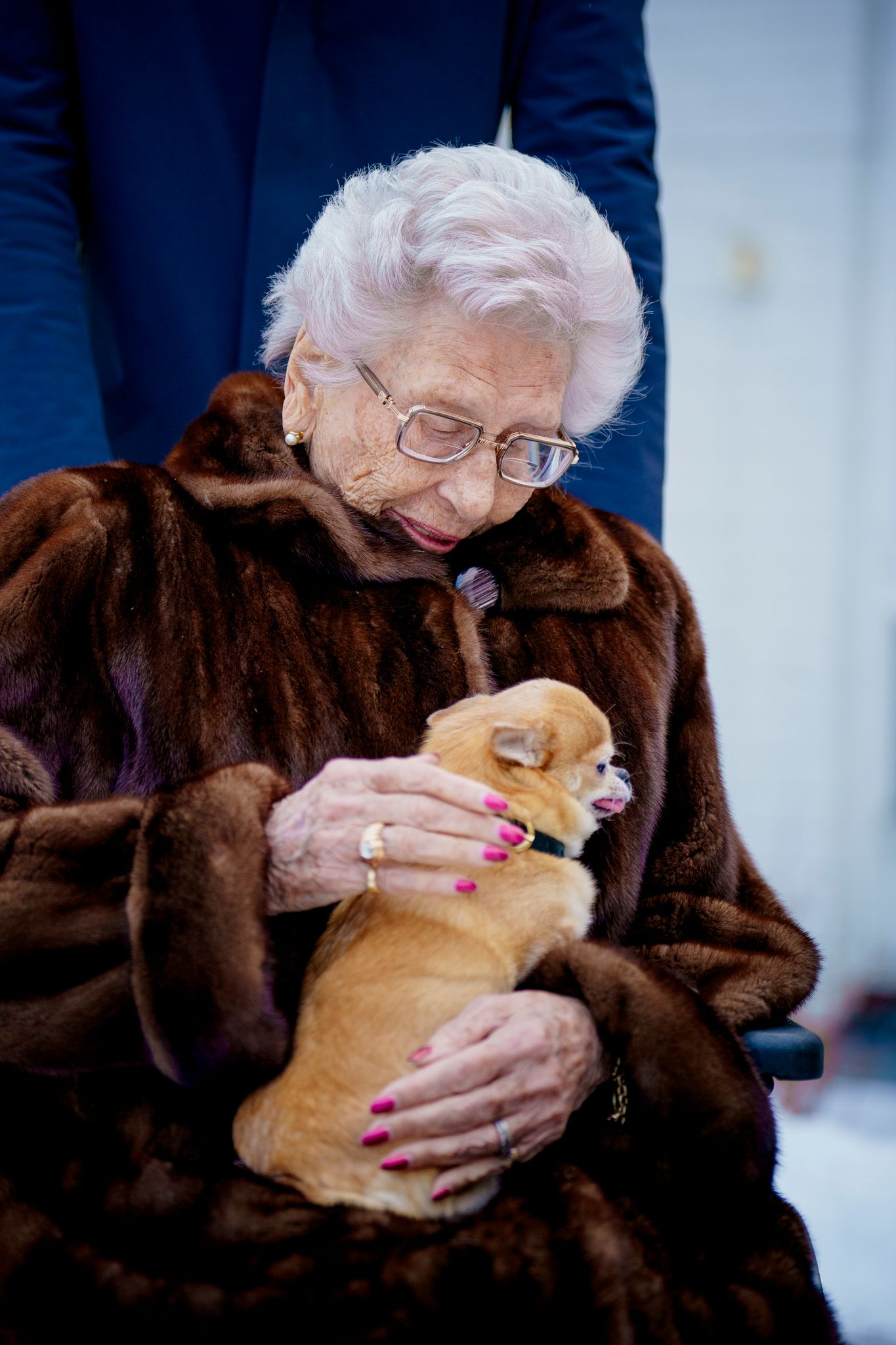 Der Chihuahua-Mischling stammt aus einer Auffangstation. (Archivbild)