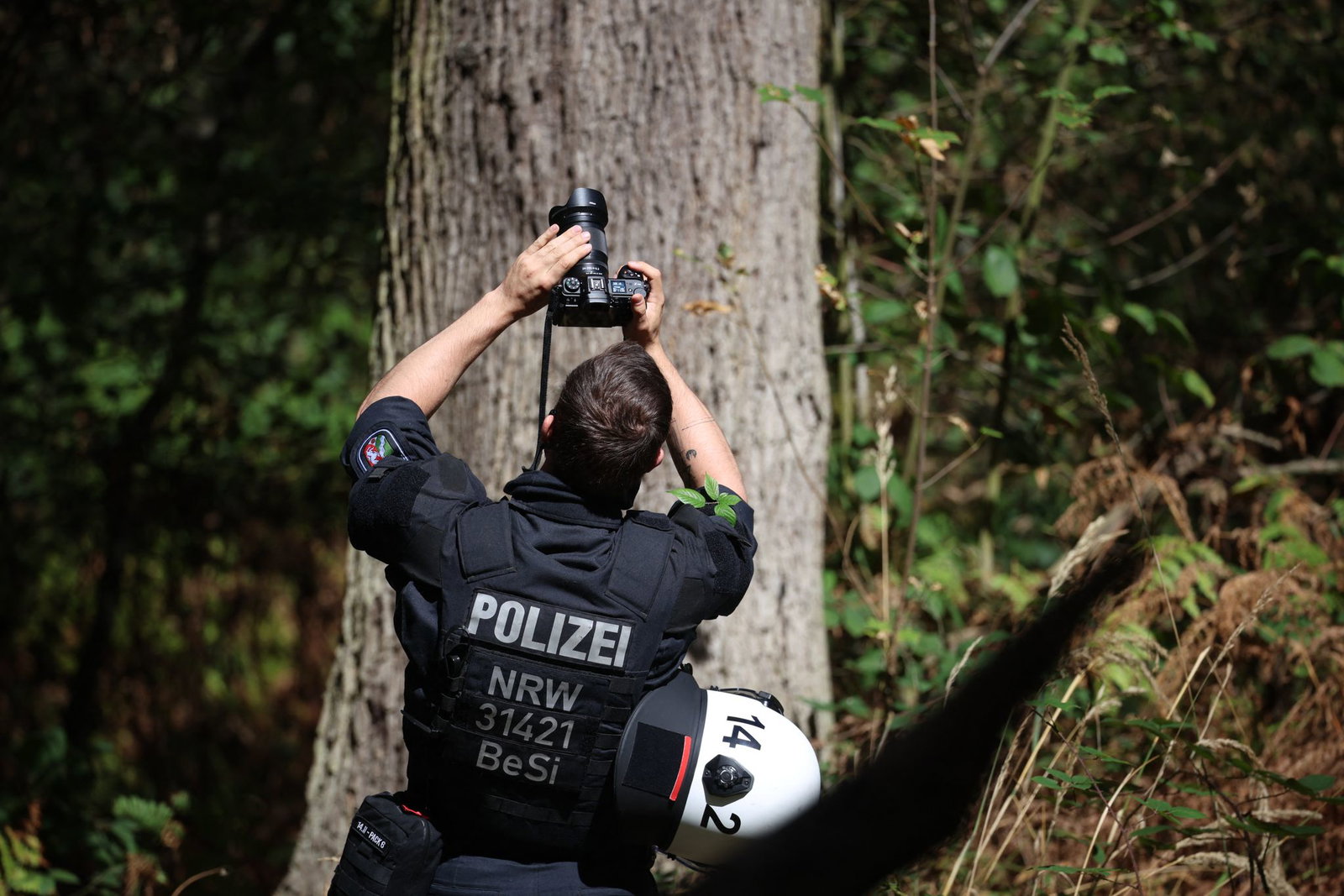 Auch mögliche Verstecke auf Bäumen werden geprüft.