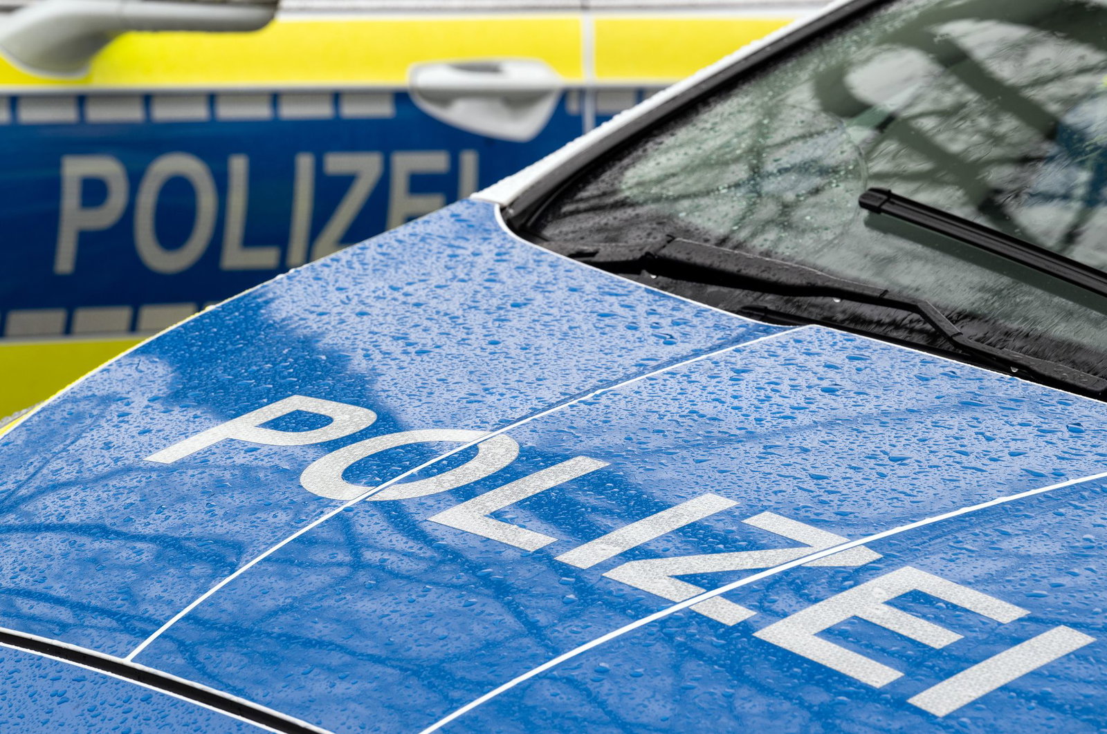 Der Mann besitze eine Rattenzucht mit mehreren tausend Tieren, teilte die Polizei mit. (Symbolbild)