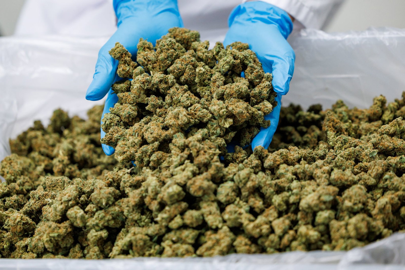 Importe von Medizinal-Cannabis steigen stark. (Archivbild)