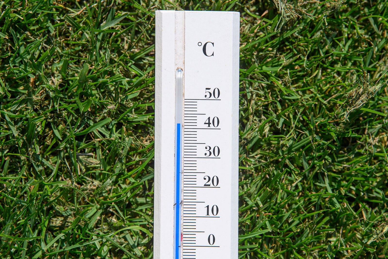 Das Saarland erlebte einen außergewöhnlichen Sommer, das zeigen auch die Zahlen des Deutschen Wetterdienstes. (Symbolfoto)