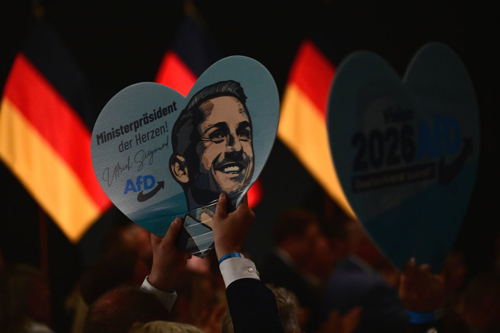 Viele Politikwissenschaftler sehen die Folgen des AfD-Sieges auf Baden-Württemberg eher nüchtern.