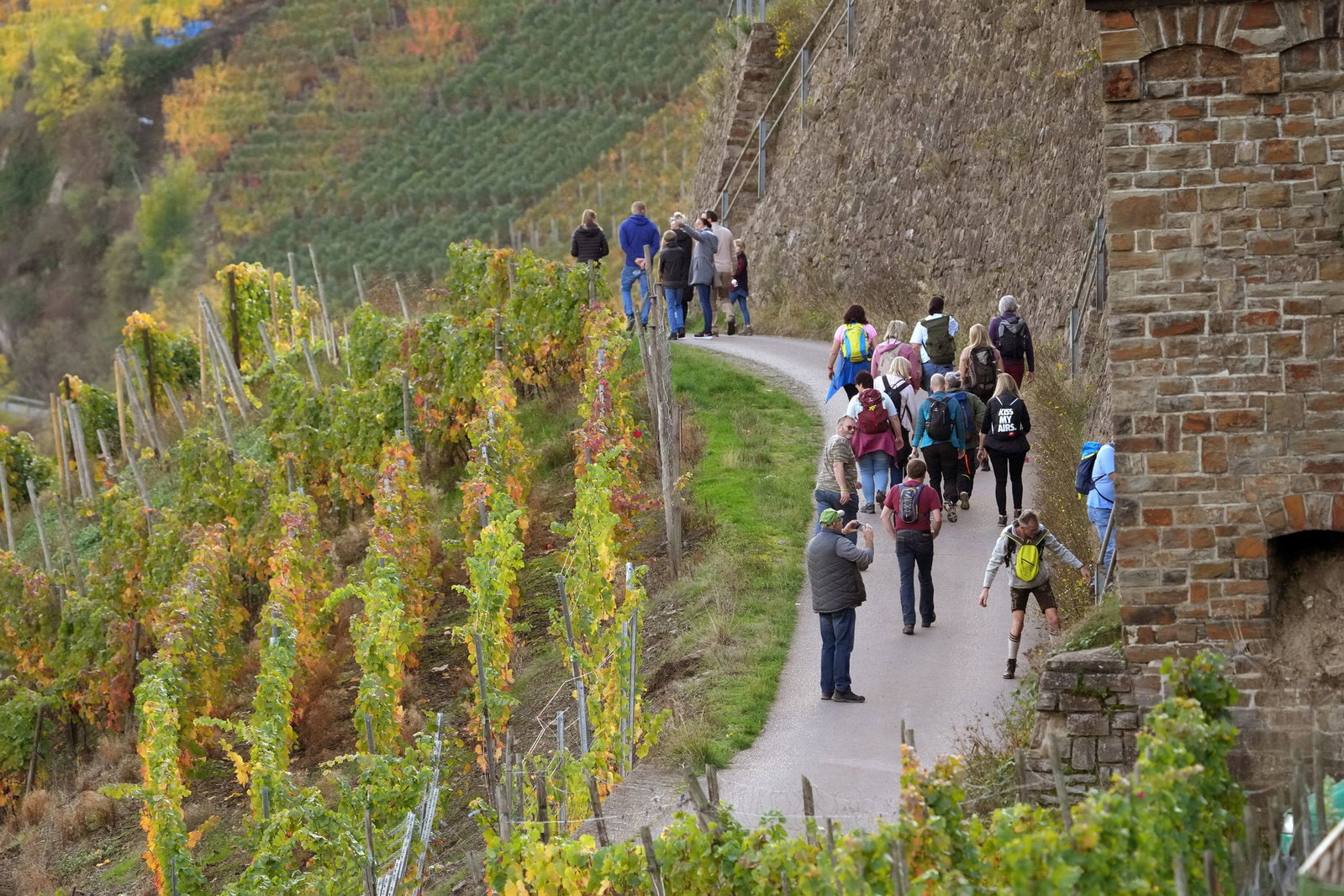 Der Herbst ist eine sehr attraktive Wanderzeit in Rheinland-Pfalz. (Symbolbild)
