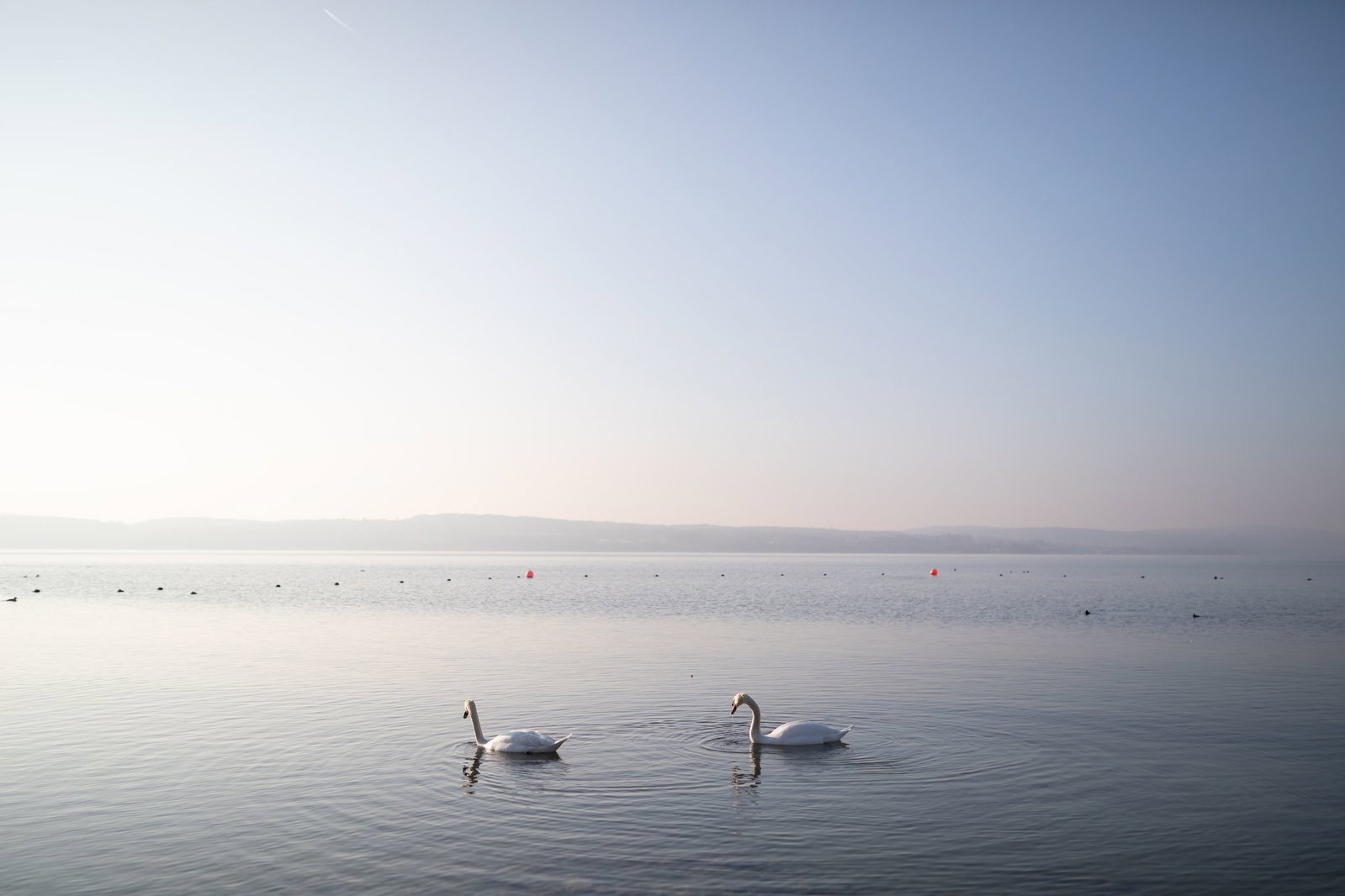 Der Bodensee ist für die Jahreszeit ungewöhnlich warm. (Symbolbild) 