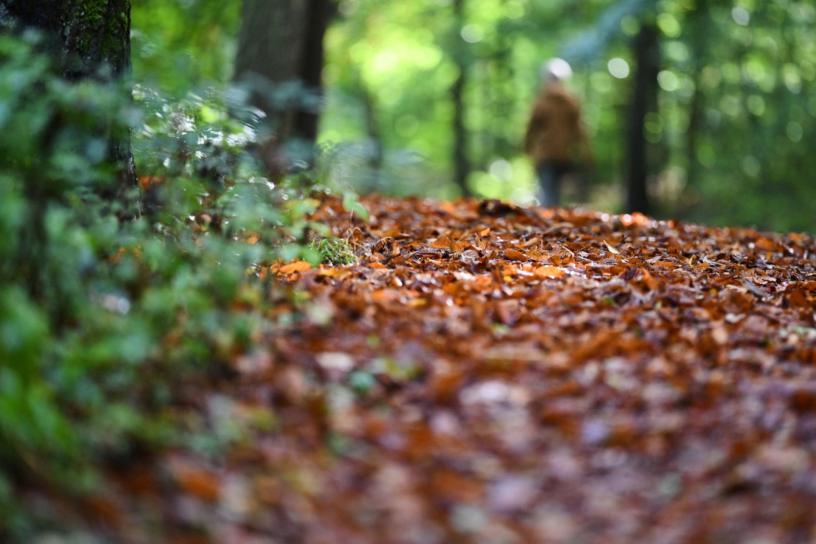 Der Freitag hat noch einmal Wärme im Gepäck. Doch zum Wochenende macht der Herbst ernst – mit Regen und deutlich niedrigeren Temperaturen.