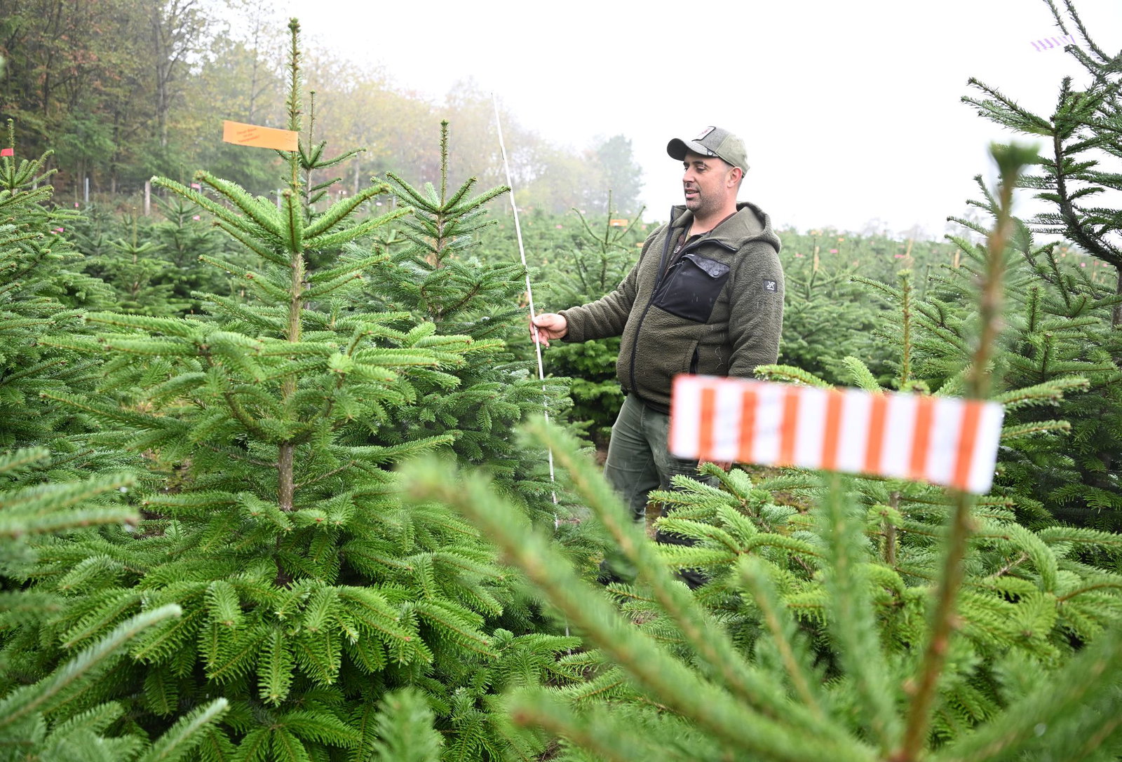 Der Vorsitzende des Christbaumverbandes Baden-Württemberg, Sebastian Fertig, steht in einer Anpflanzung von Weihnachtsbäumen in Mudau im Norden Baden-Württembergs.