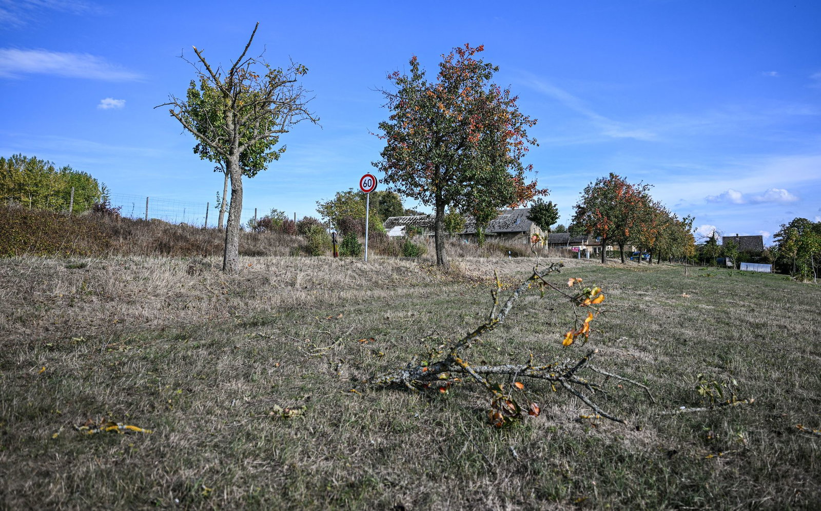 Vor dem Absturz hatte es einen Baum gestreift. 