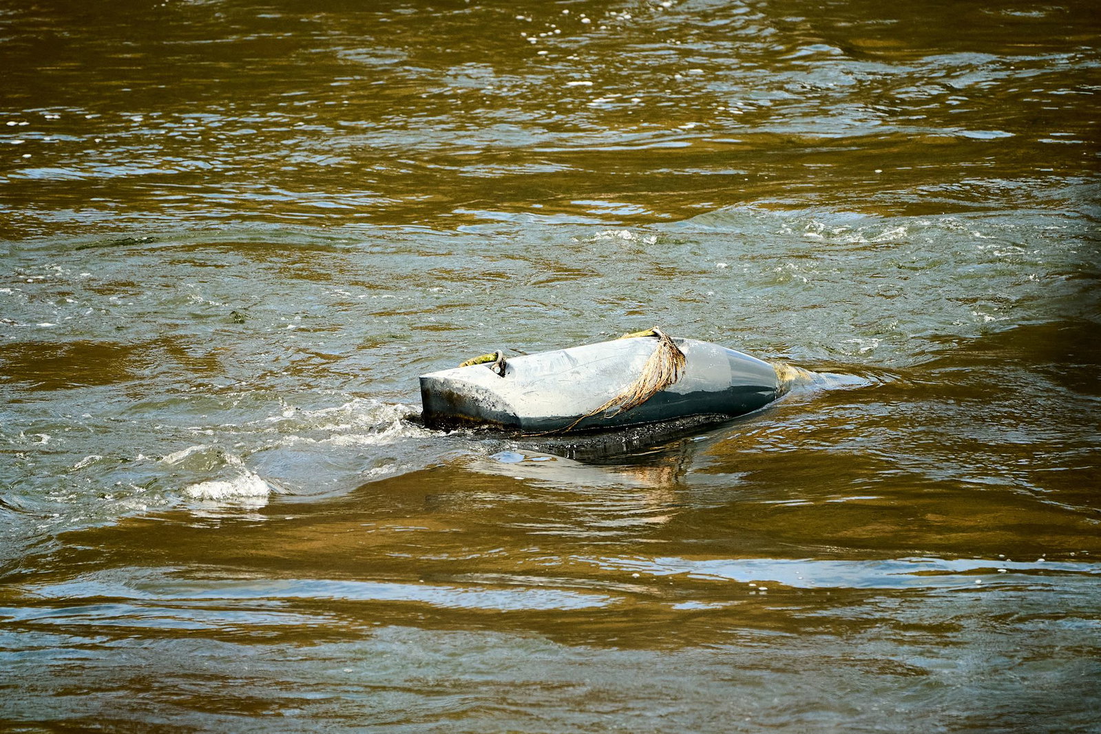 Eine Strömungsturbine schwimmt in einem Seitenarm des Rheins. 