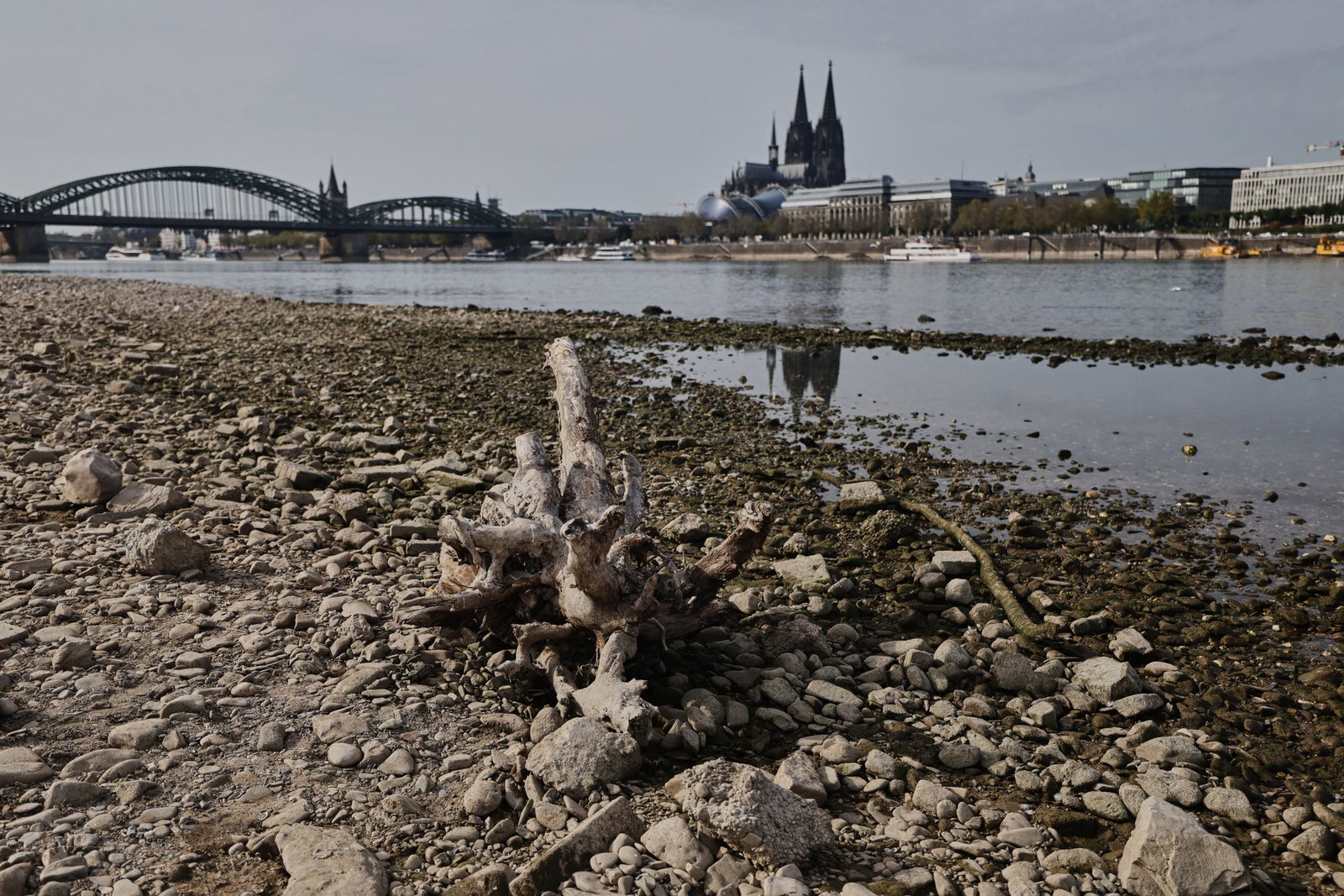 Die Wasserstände der Flüsse waren nach einer Auswertung des Science Media Center dieses Jahr extrem niedrig (Archivbild). 