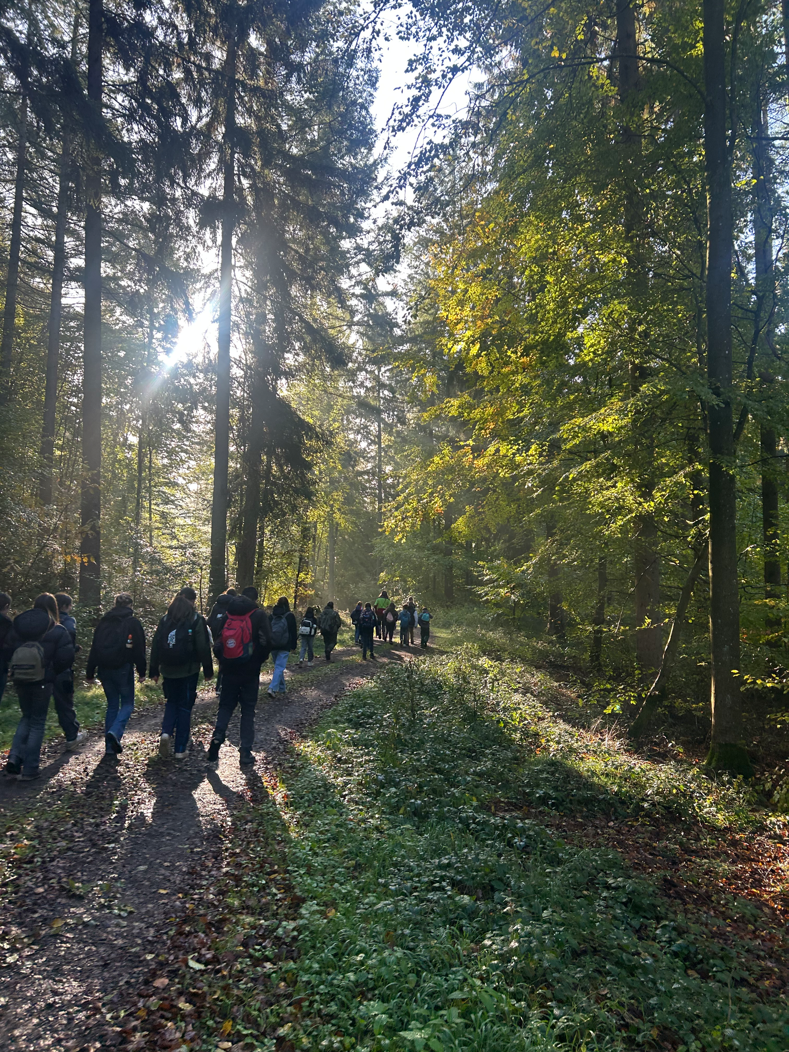 Baum für Baum Schulklasse Eifel