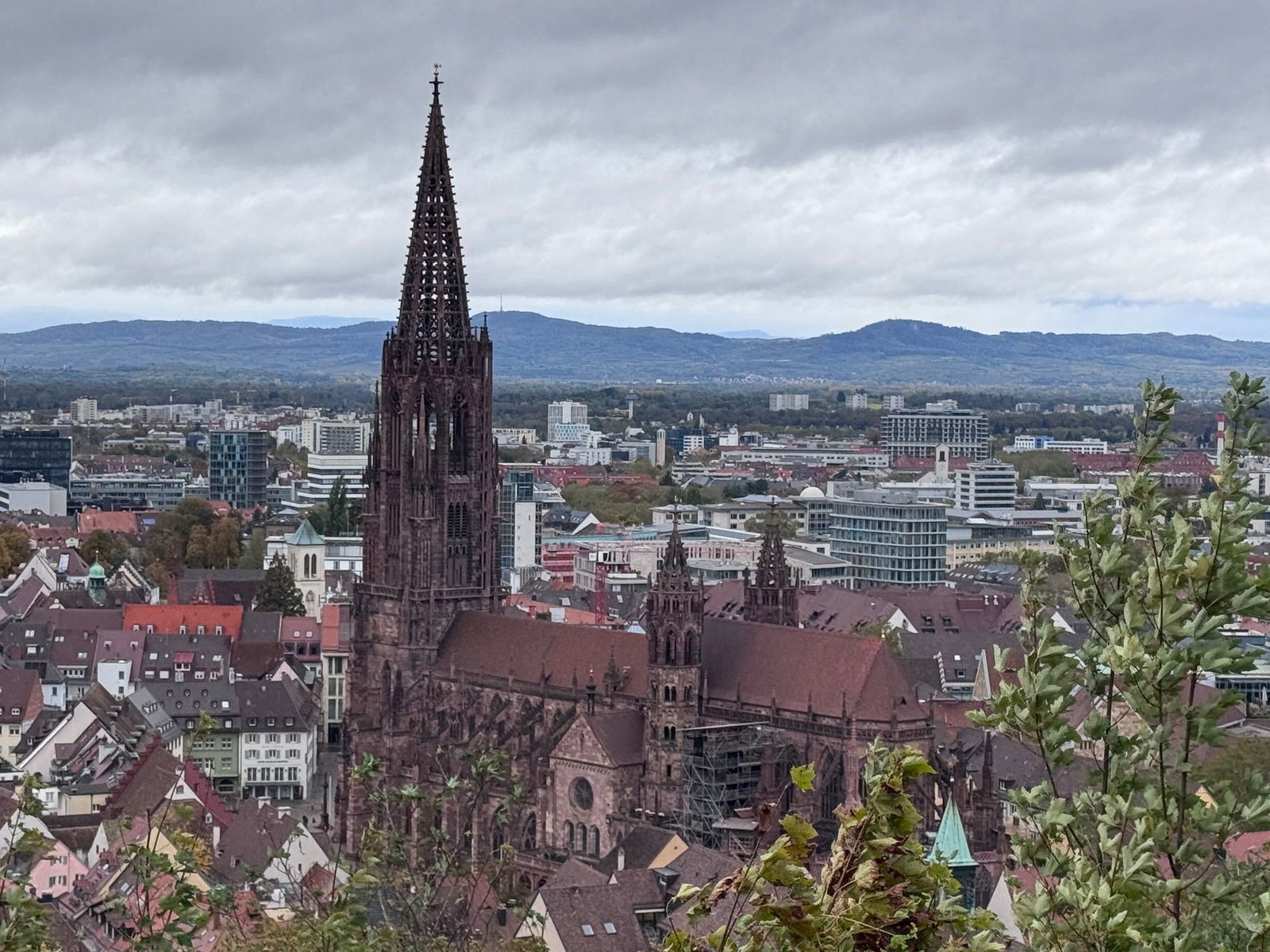 Nach Schätzungen der Polizei waren am Sonntag 25.000 Menschen in Freiburg zeitweise ohne Strom. 