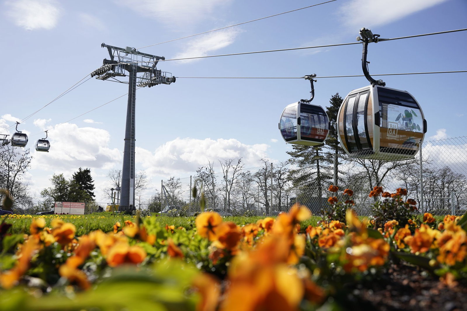Wie während der Bundesgartenschau in Mannheim 2023 könnte eine Seilbahn nach Ludwigshafen schweben - doch vorerst wird daraus nichts. (Archivbild)