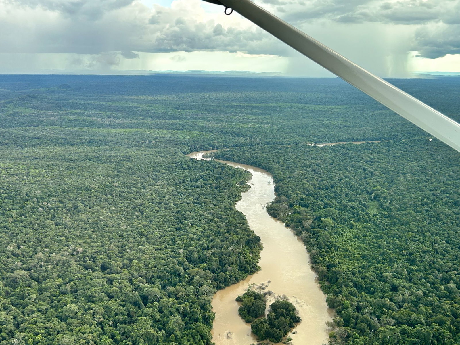 Der Amazonas-Regenwald steht beim Wahlkampf dieses Jahr weniger im Fokus. (Archivbild)