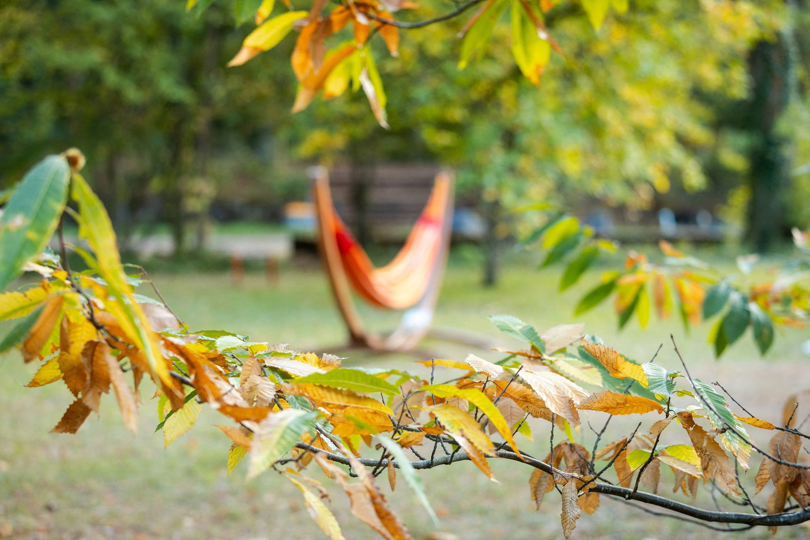 Ein herbstlicher Mix mit teilweise sehr milden Temperaturen ist vorausgesagt. (Archivbild)