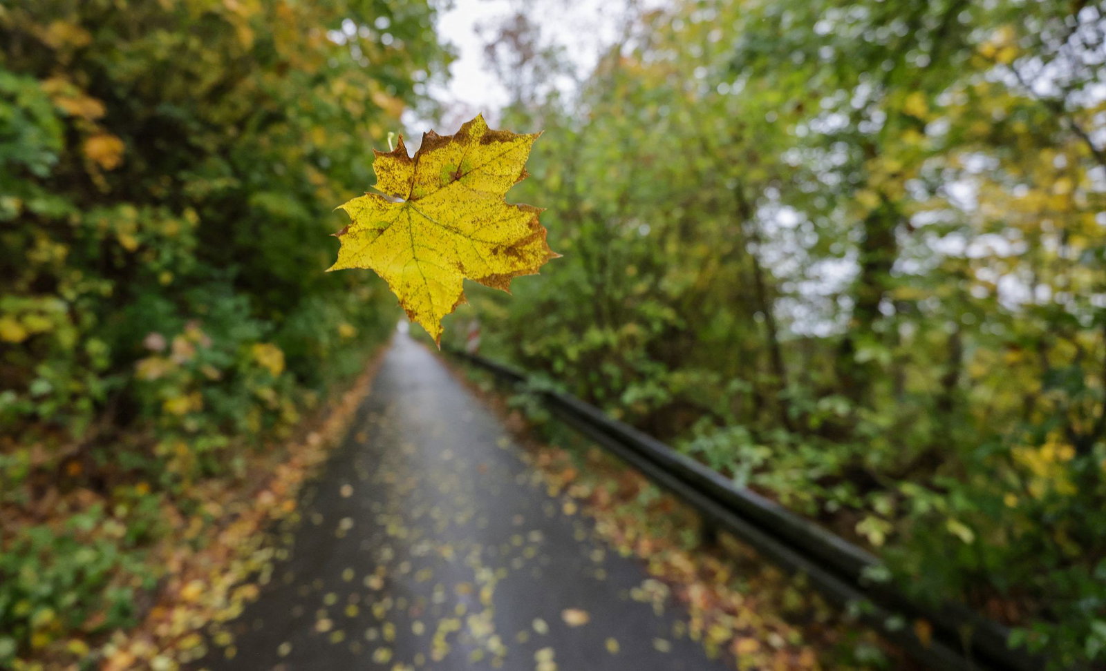 Der Wind weht am Montag meist schwach aus Nordost.